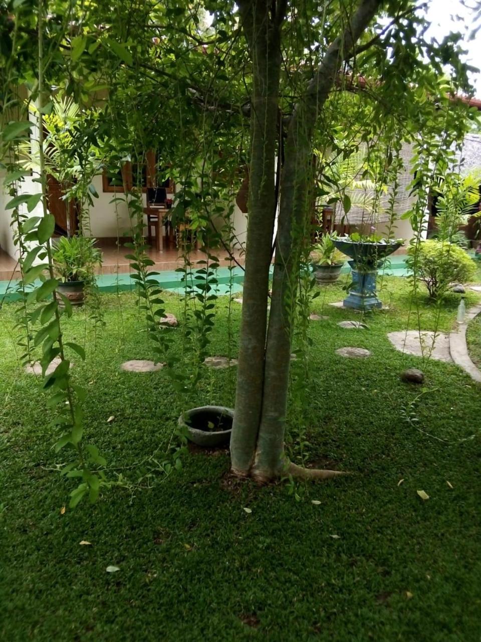 Photo 32