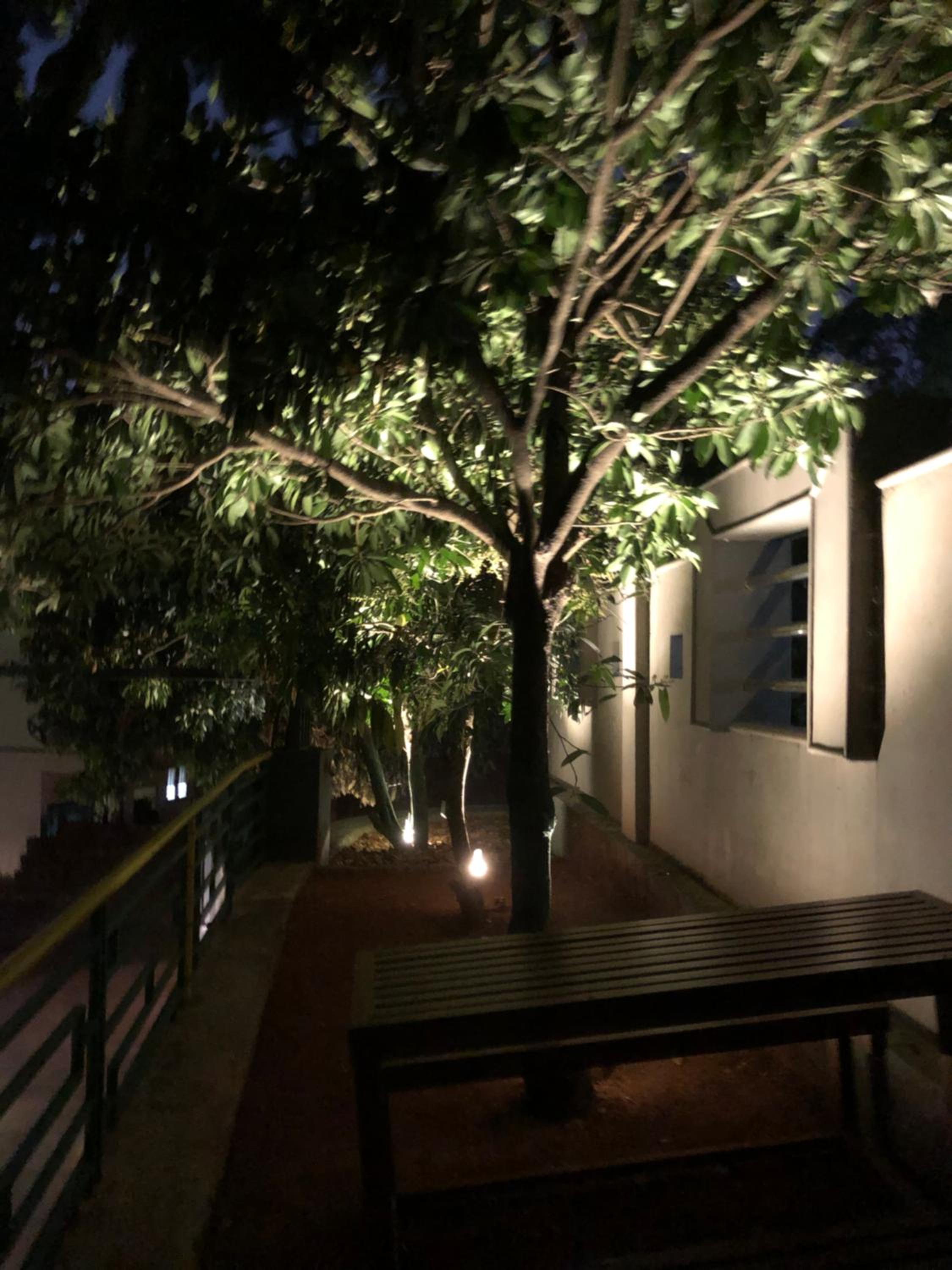 Photo 40