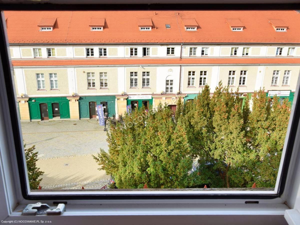 Zielone walizki view 4