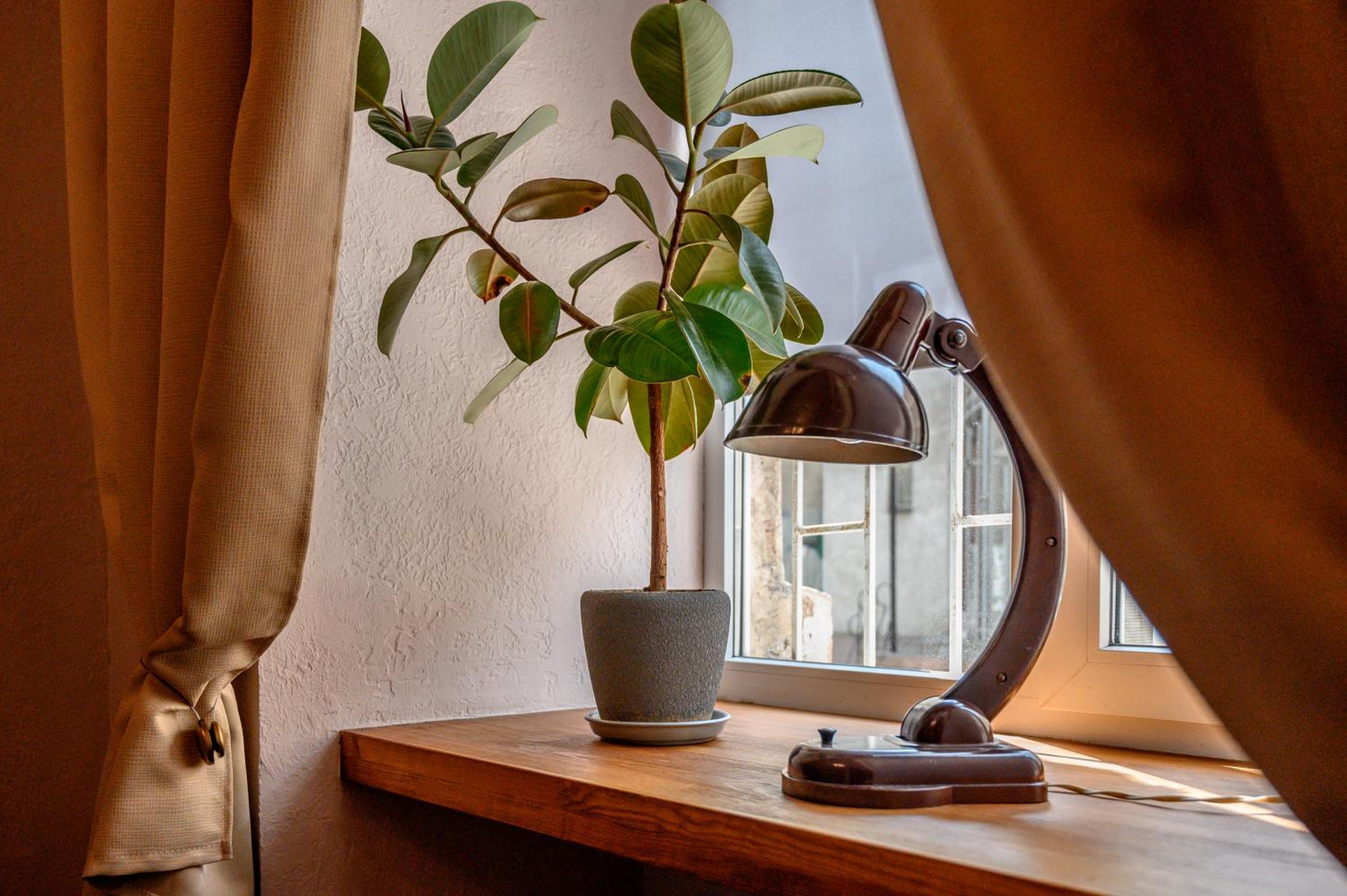 Уютная квартира недалеко от Дерибасовской view 5