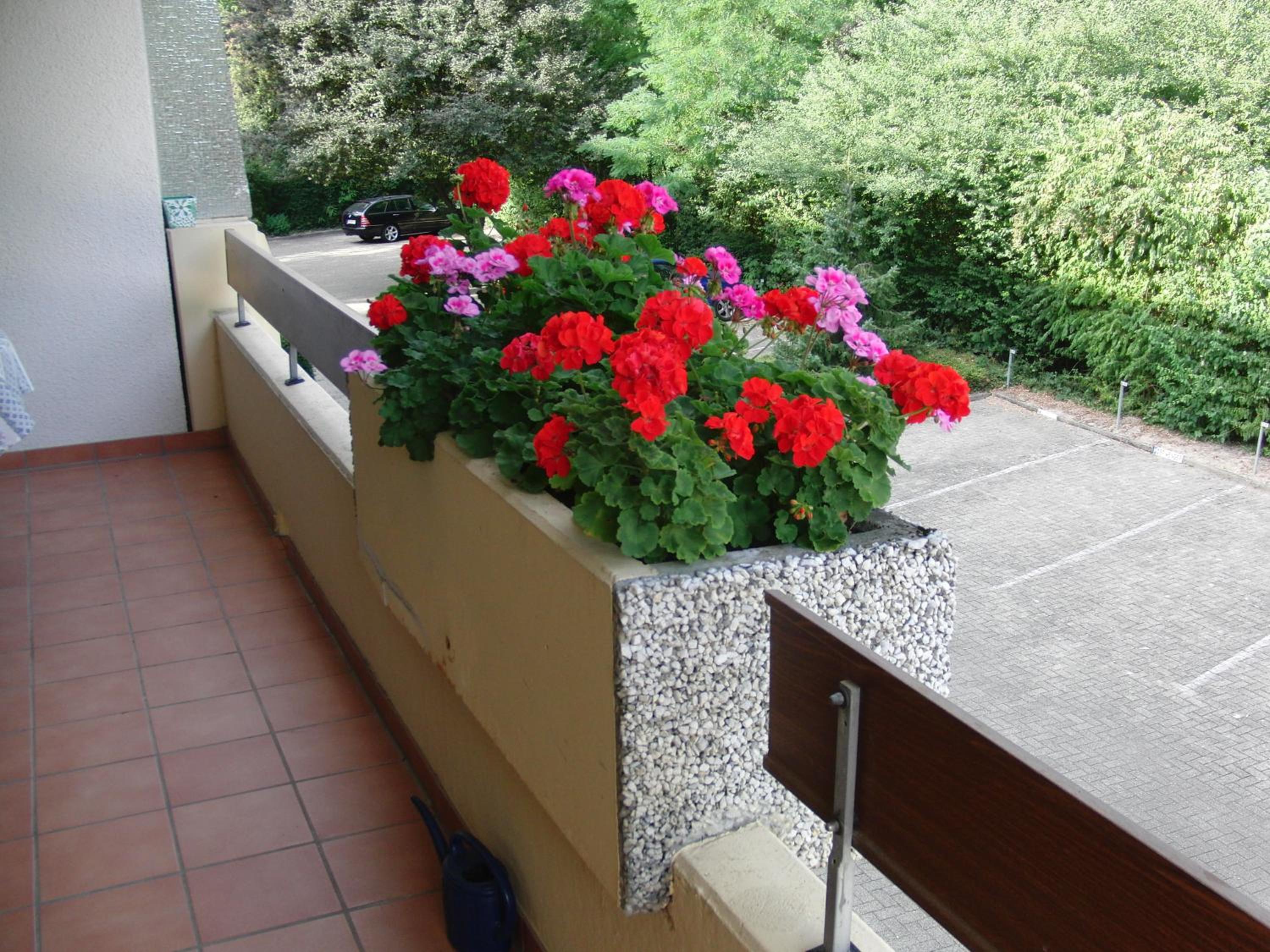 Appartementhaus im Grün, photo 18
