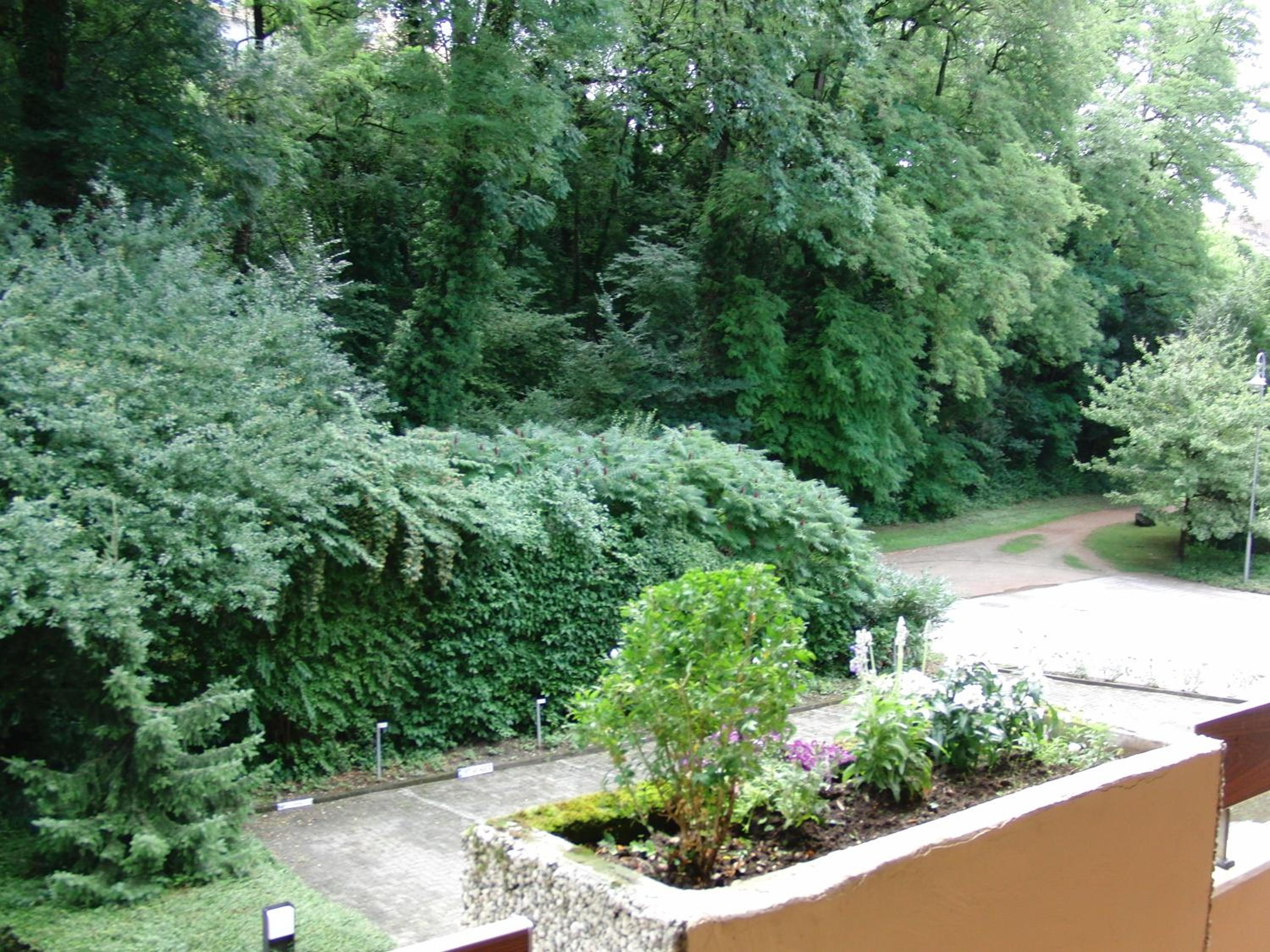 Appartementhaus im Grün, photo 30