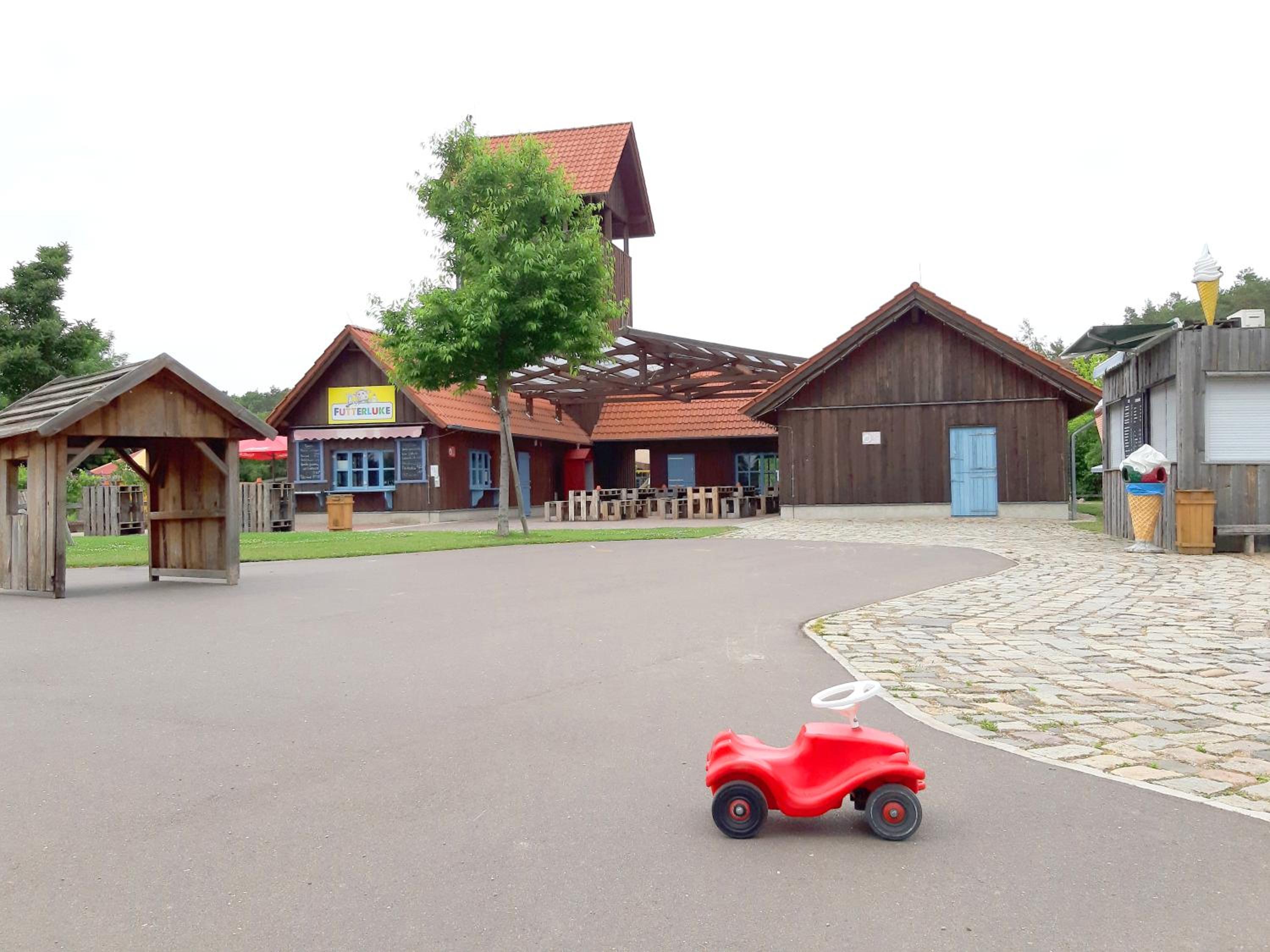 Wald und Wohlsein