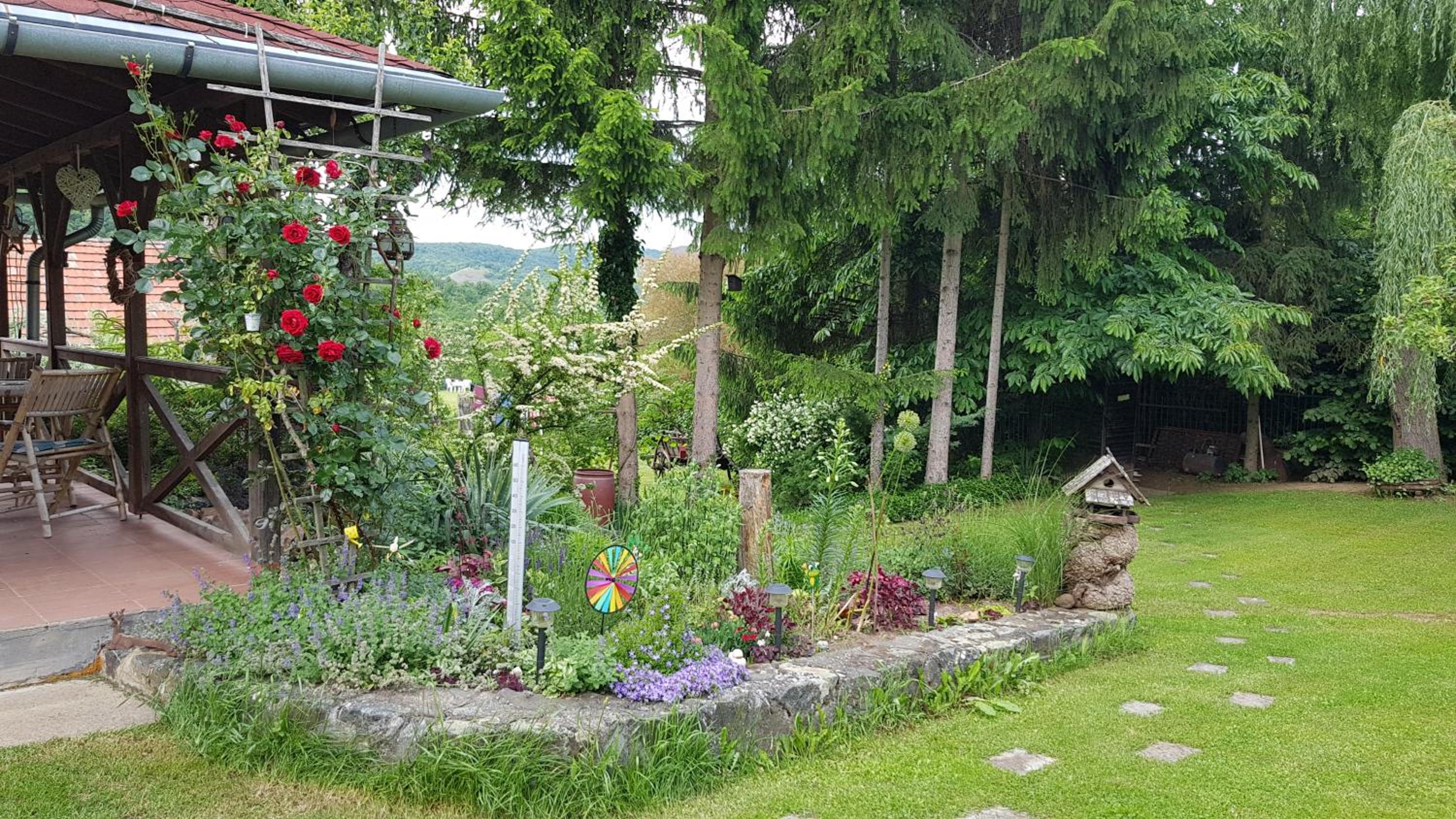 Photo 25