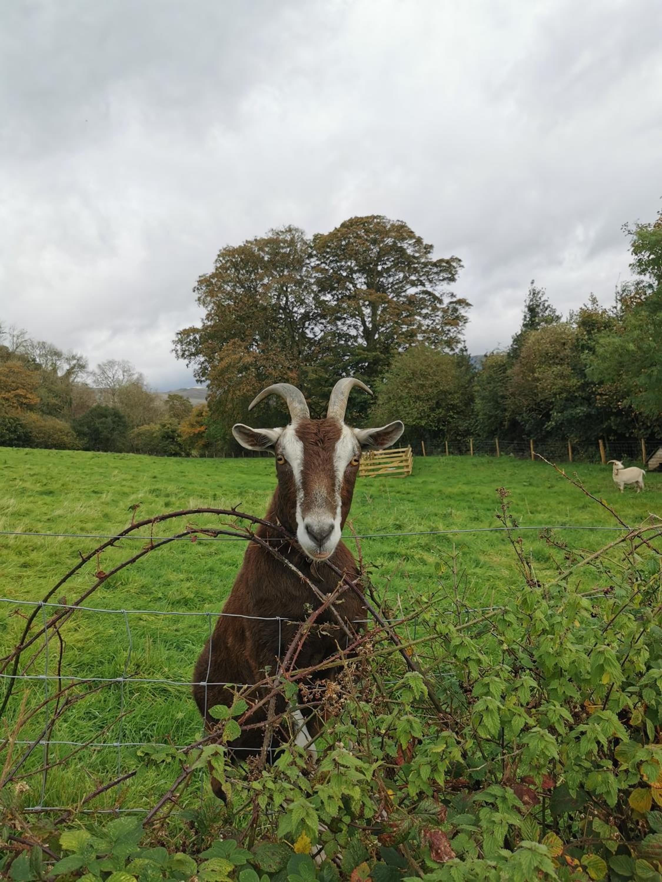 Rainors farm cottage