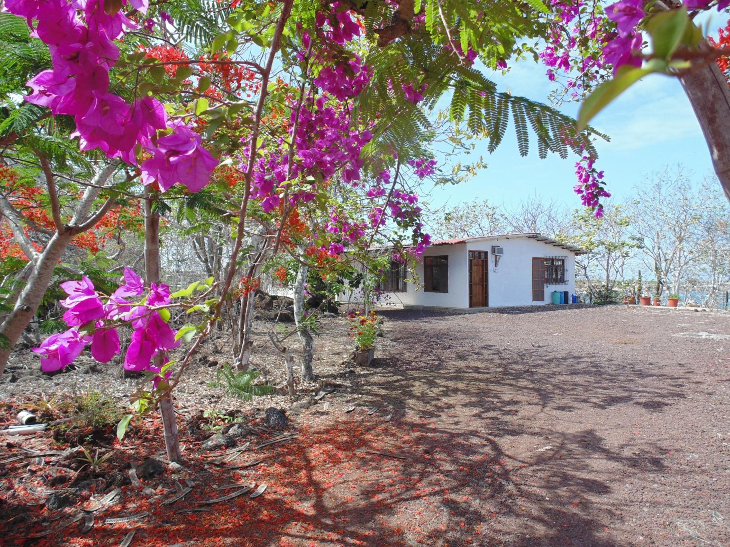 Casa Verde Vacation Garden Home view 3