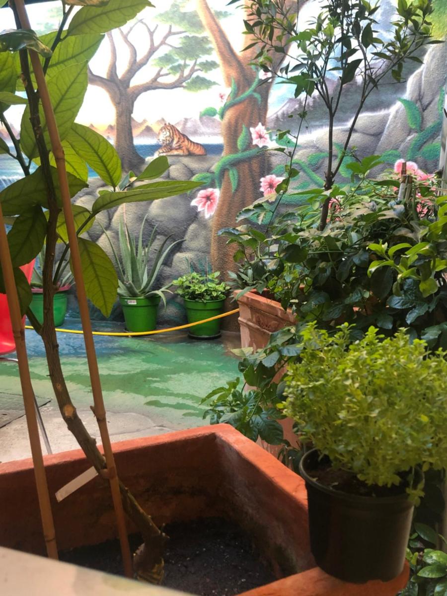 Zouglas App Guesthouse