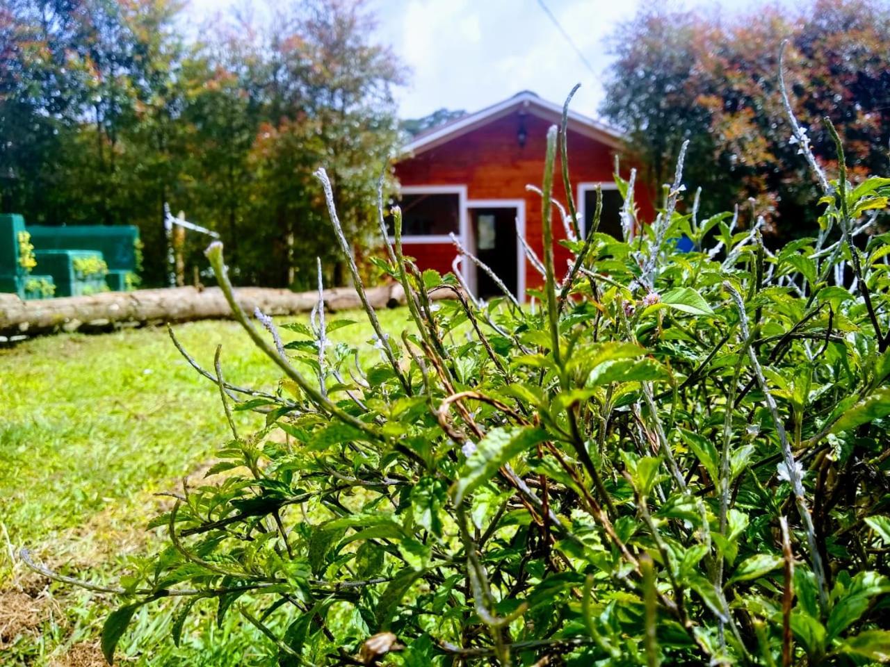 Hospedaje Santaelena -chalets de montaña-