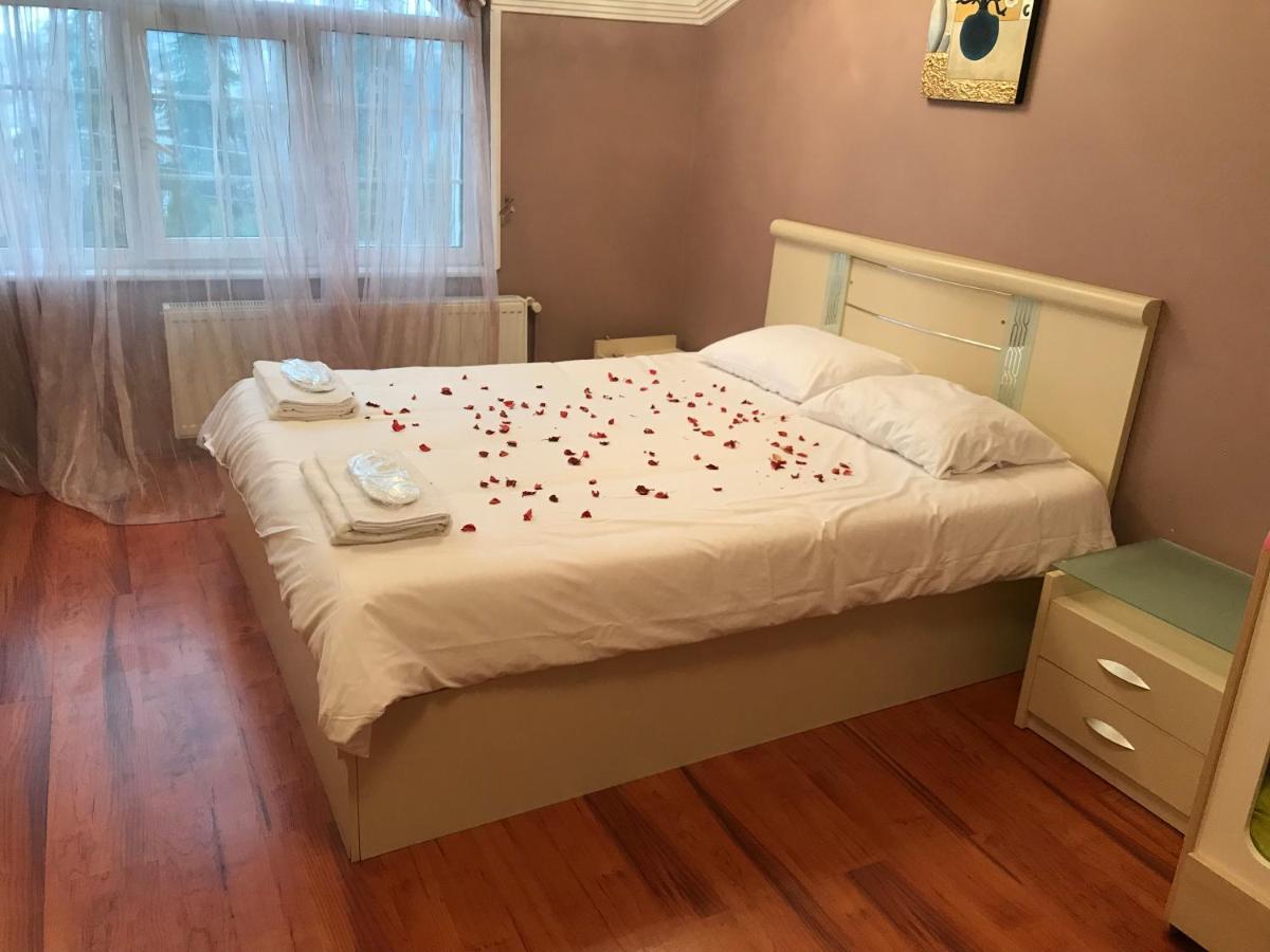 Sapanca Site İçerisinde Müstakil Havuzlu Villa Nisa view 3