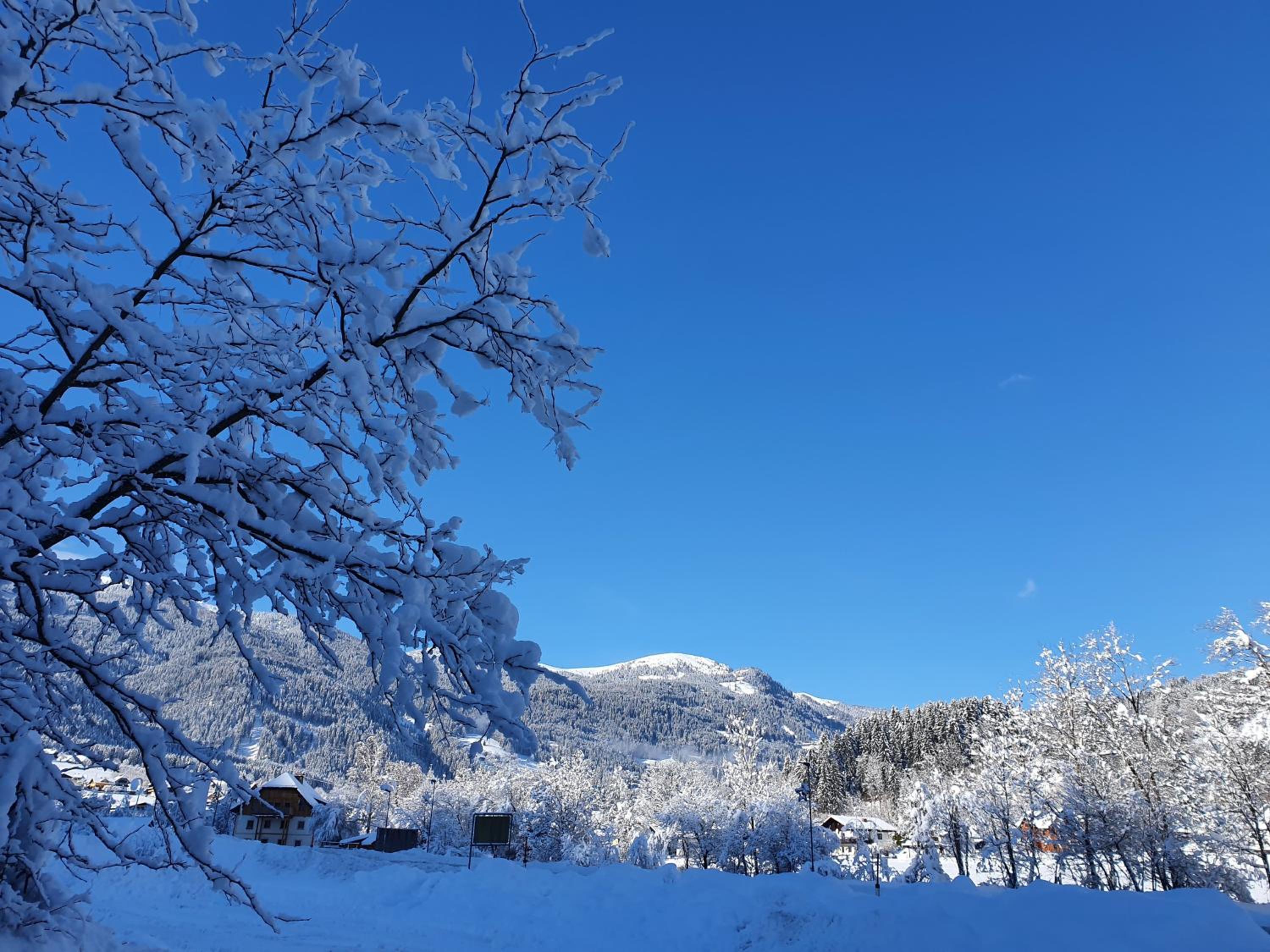 Kärnten Card inkludiert - Apartments nahe Bad Kleinkirchheim