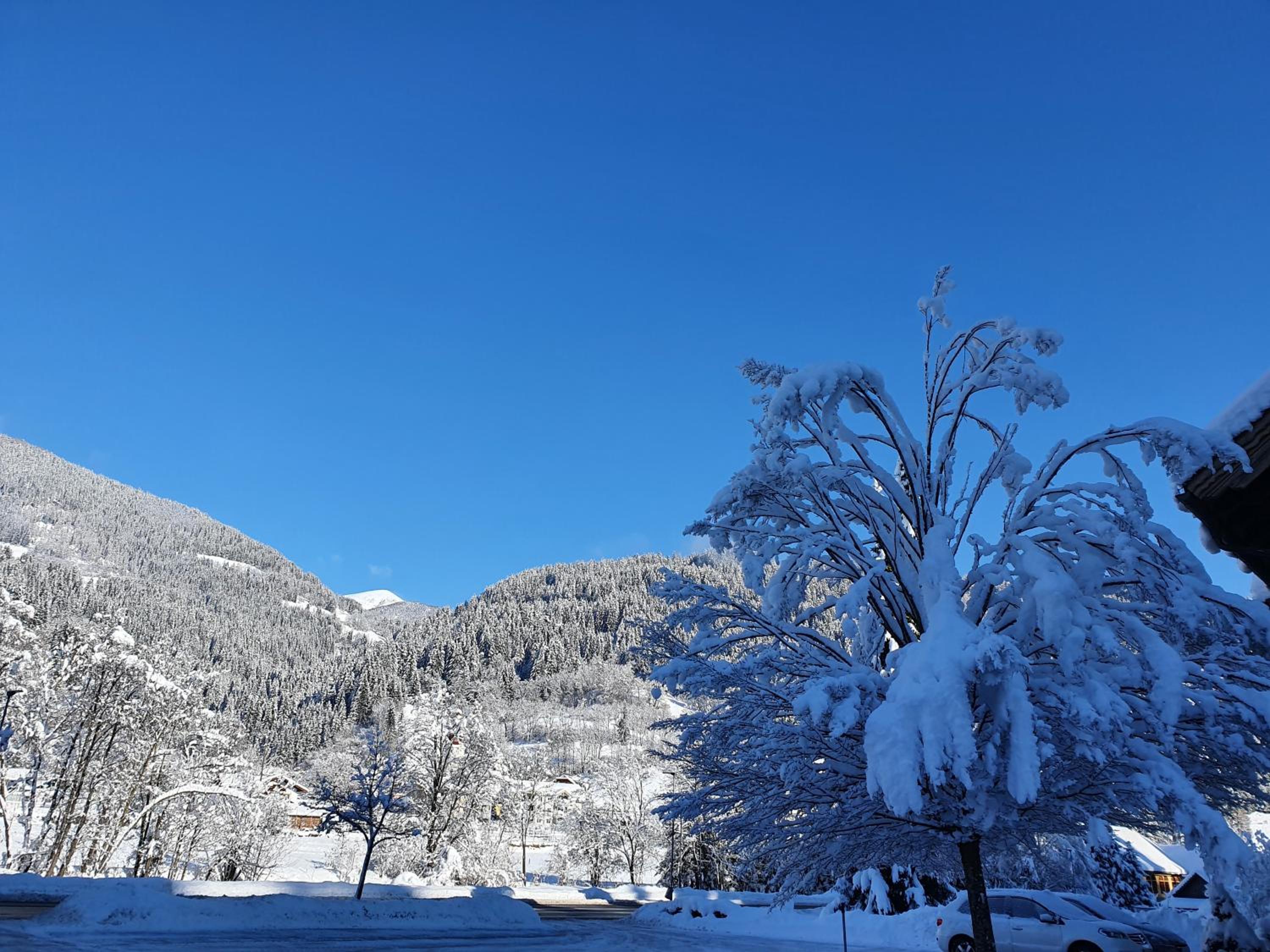 Kärnten Card inkludiert - Apartments nahe Bad Kleinkirchheim