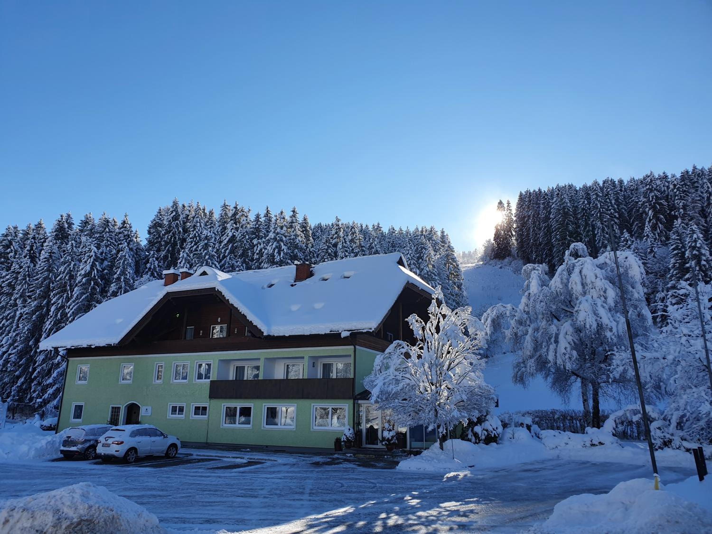 Kärnten Card inkludiert - Apartments nahe Bad Kleinkirchheim