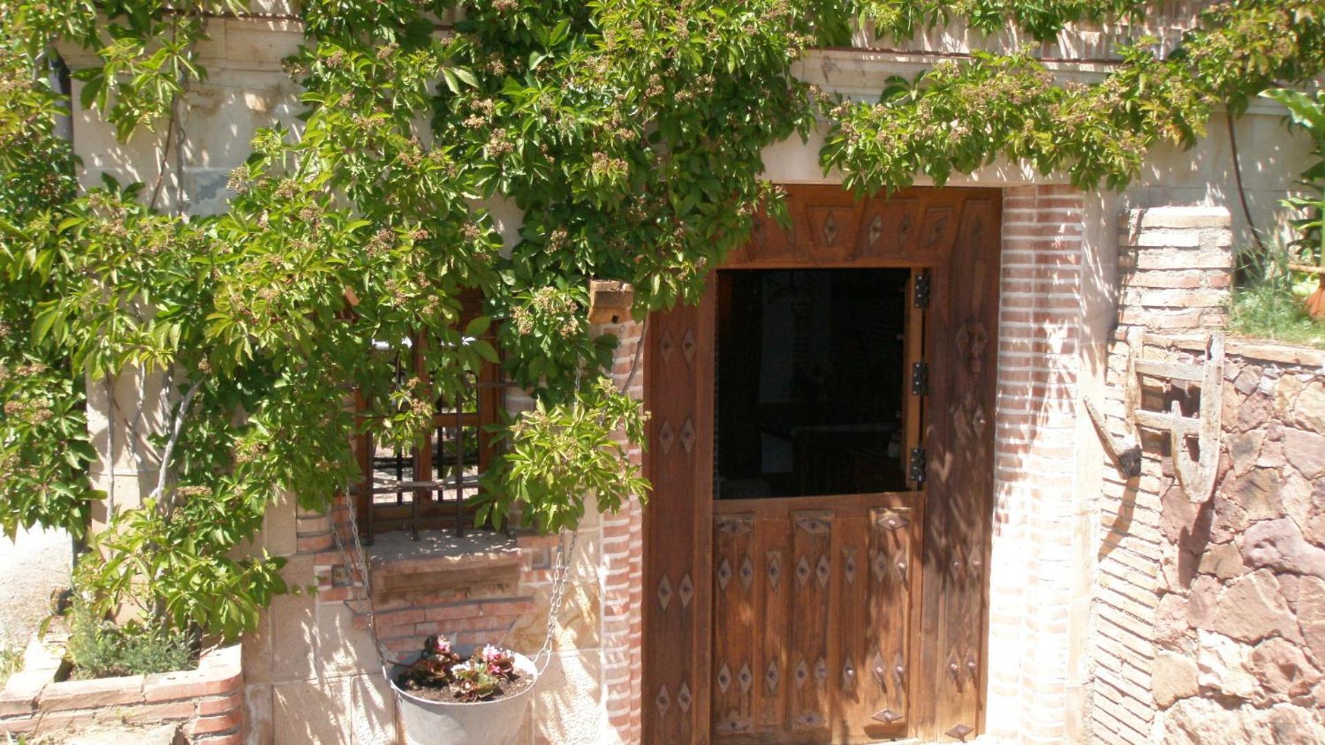 Photo 12