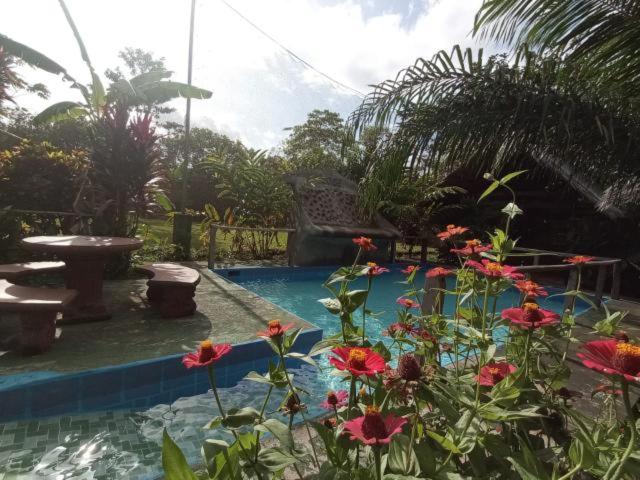 Iguanitas Lodge