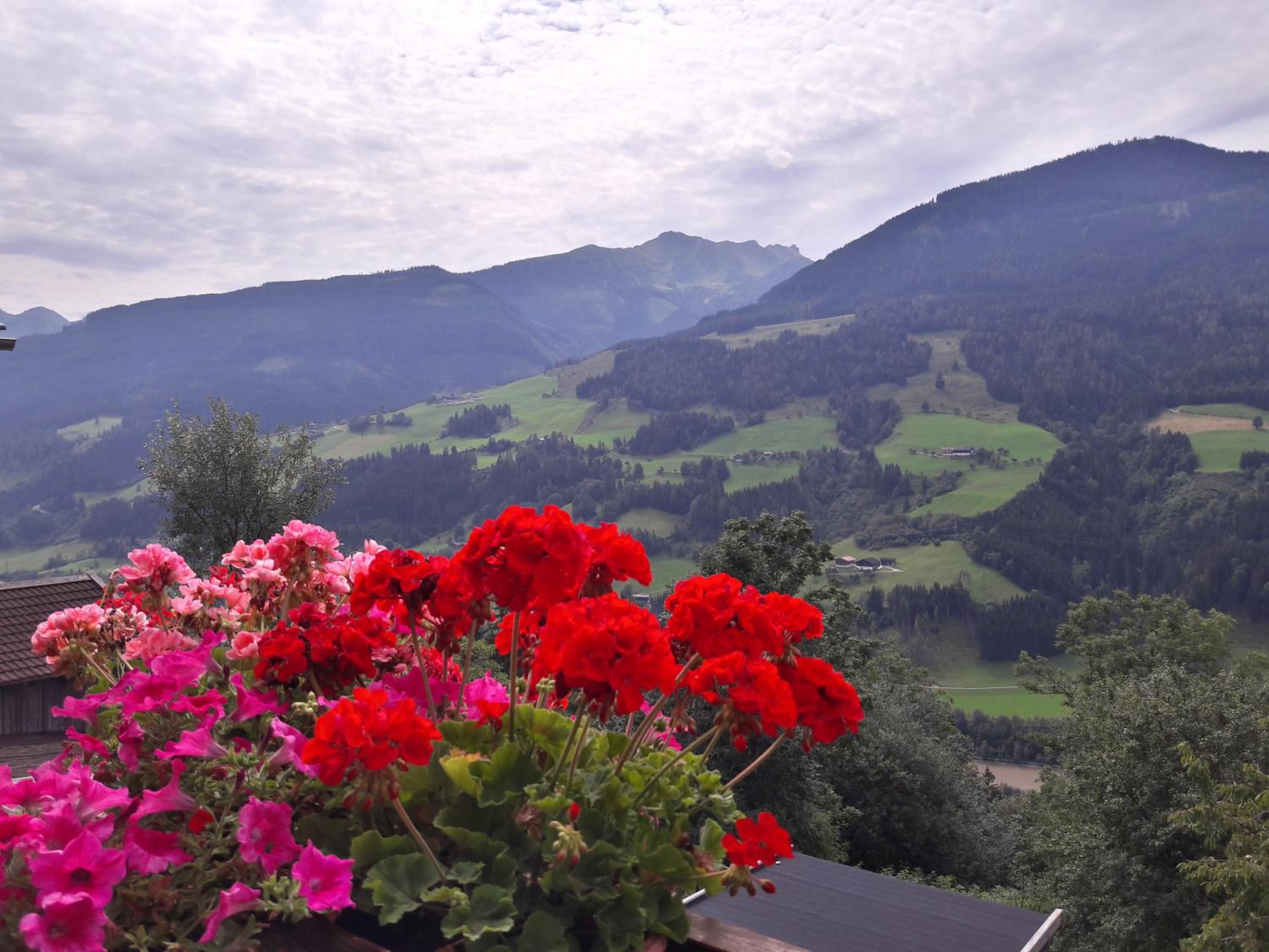 Bergbauernhof Untermoos