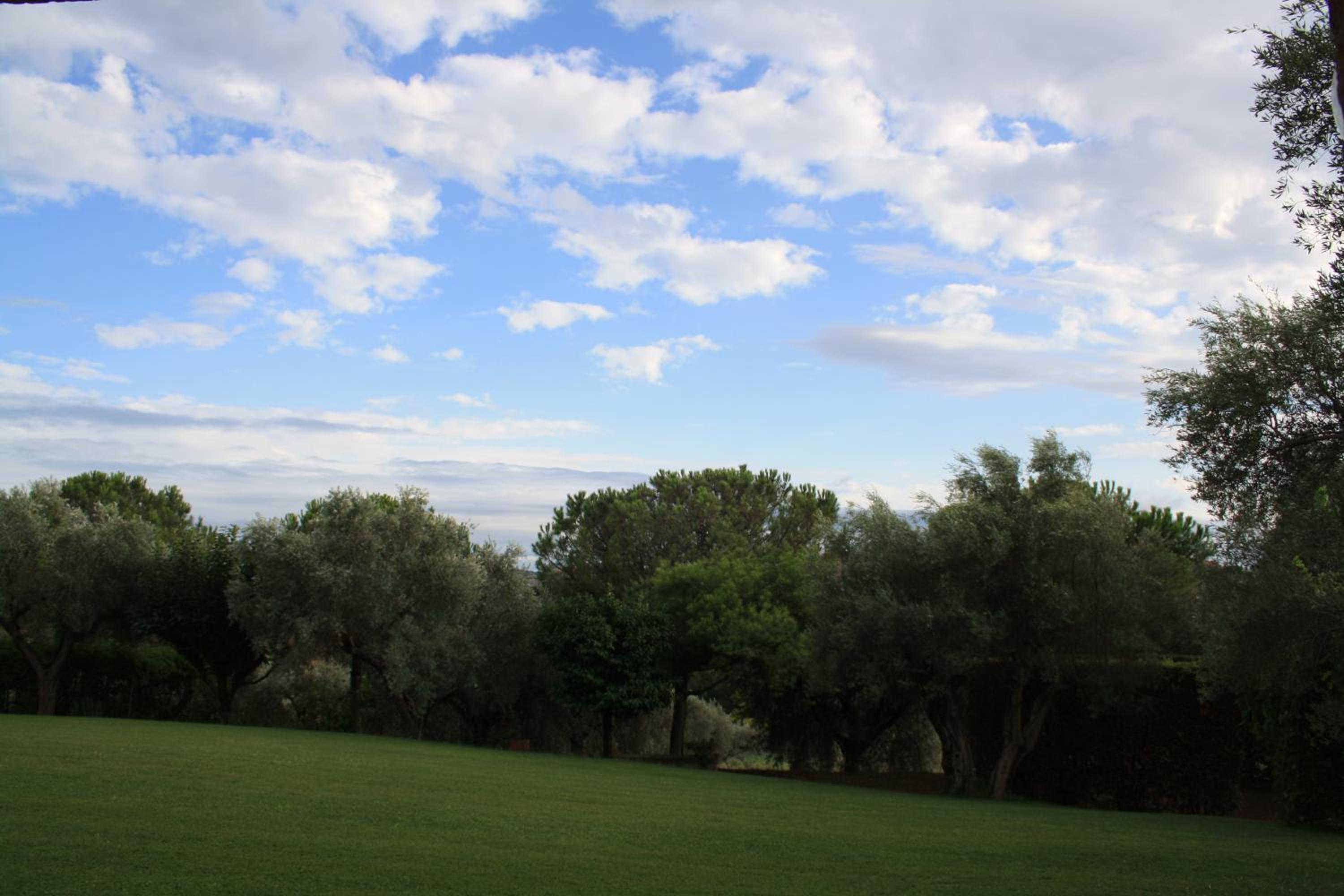 Photo 57
