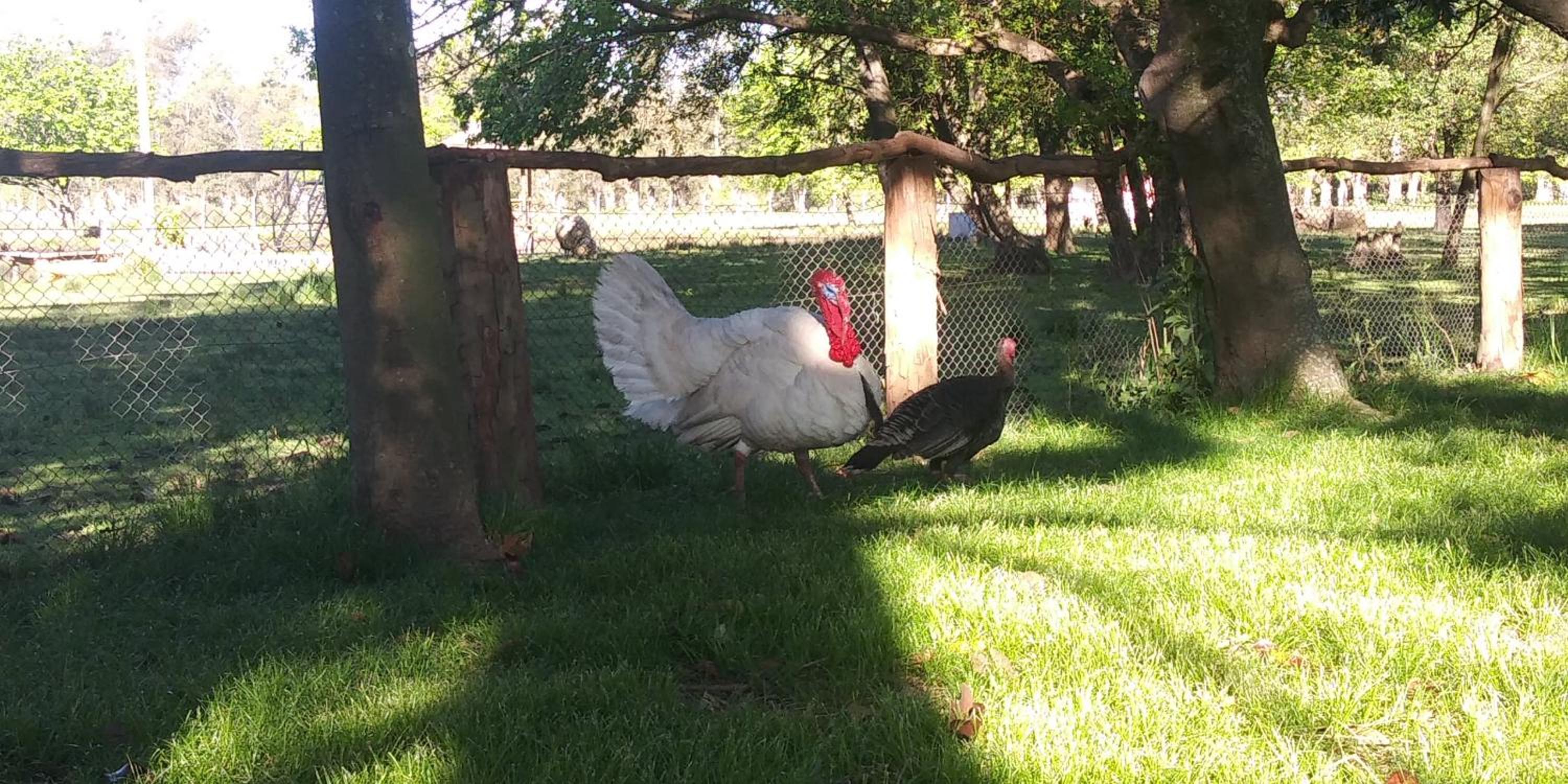 La Justina - Nuestro Campo