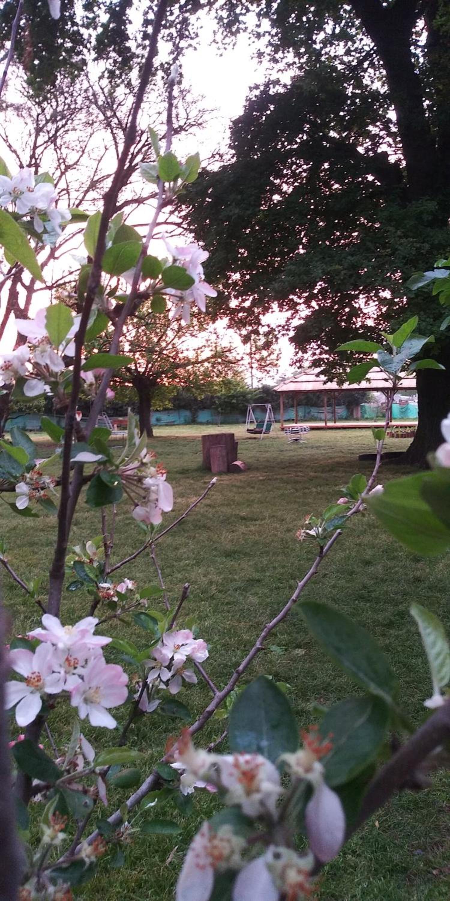 La Justina - Nuestro Campo
