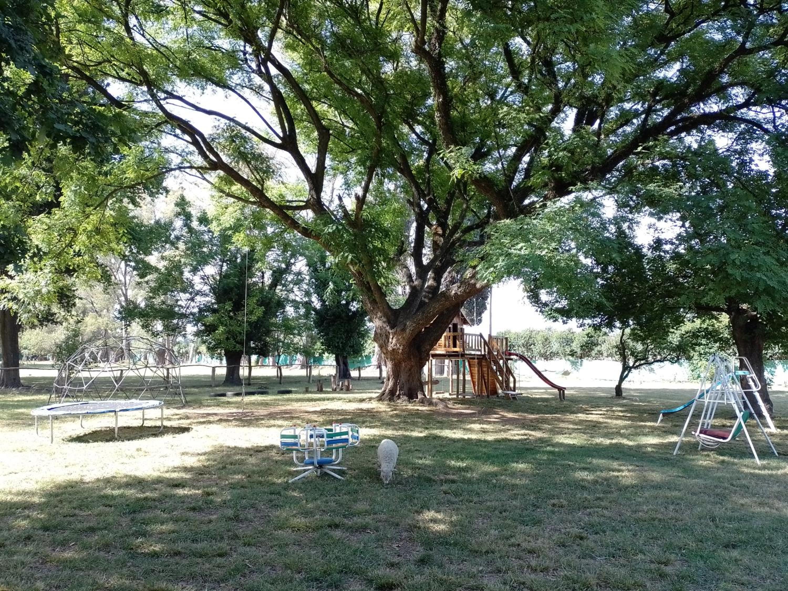 La Justina - Nuestro Campo