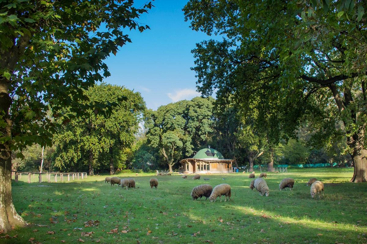 La Justina - Nuestro Campo