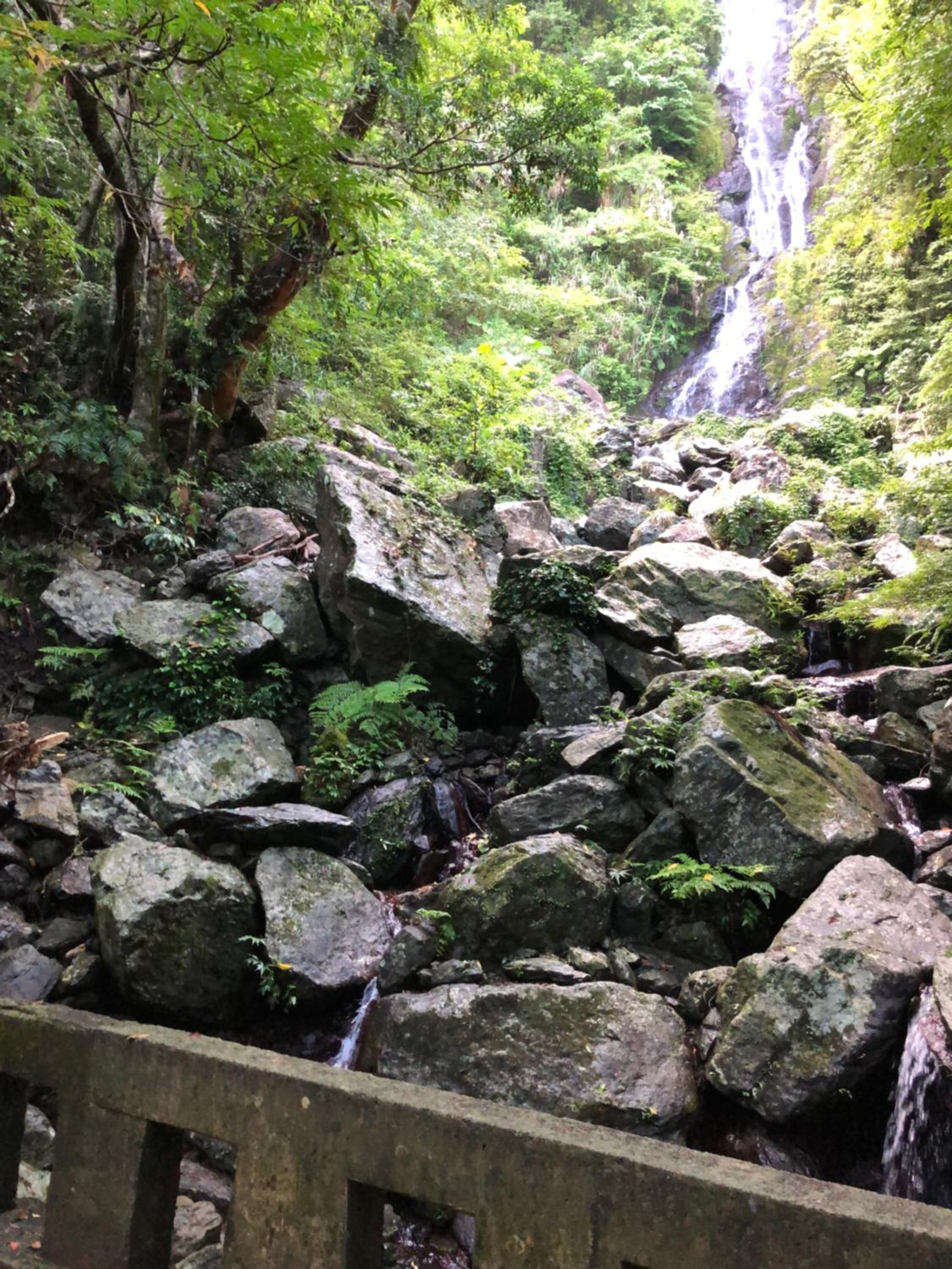 Photo 28