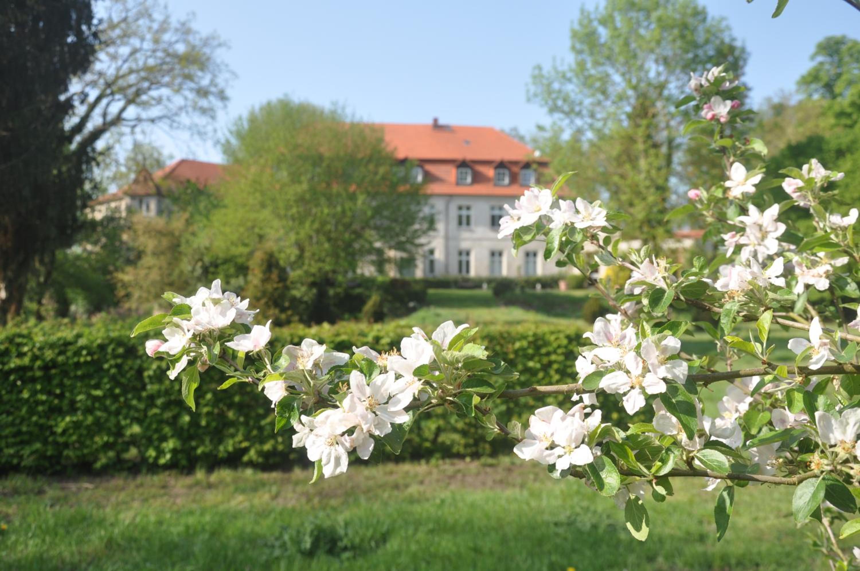 Apartment für 4 Personen im Schloss Neuhausen view 2