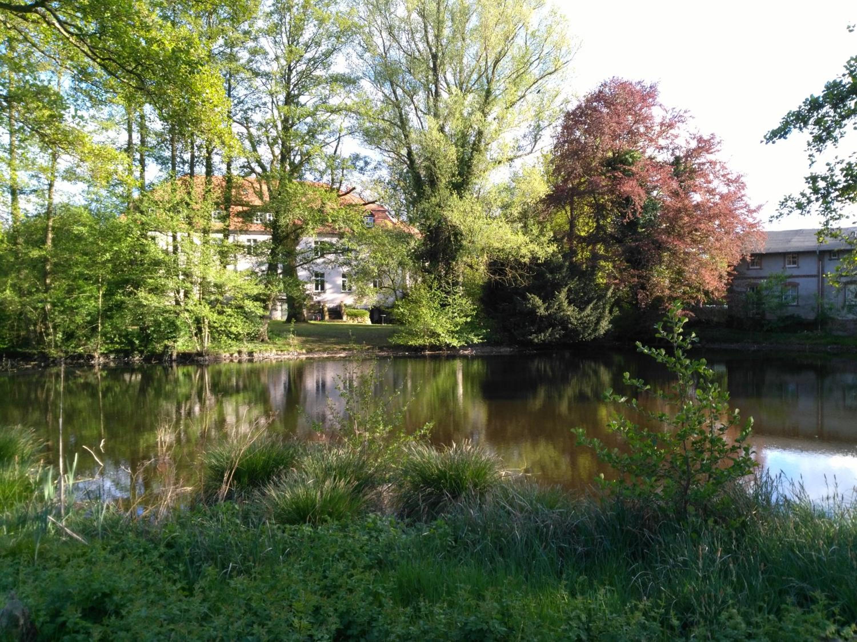 Photo 27
