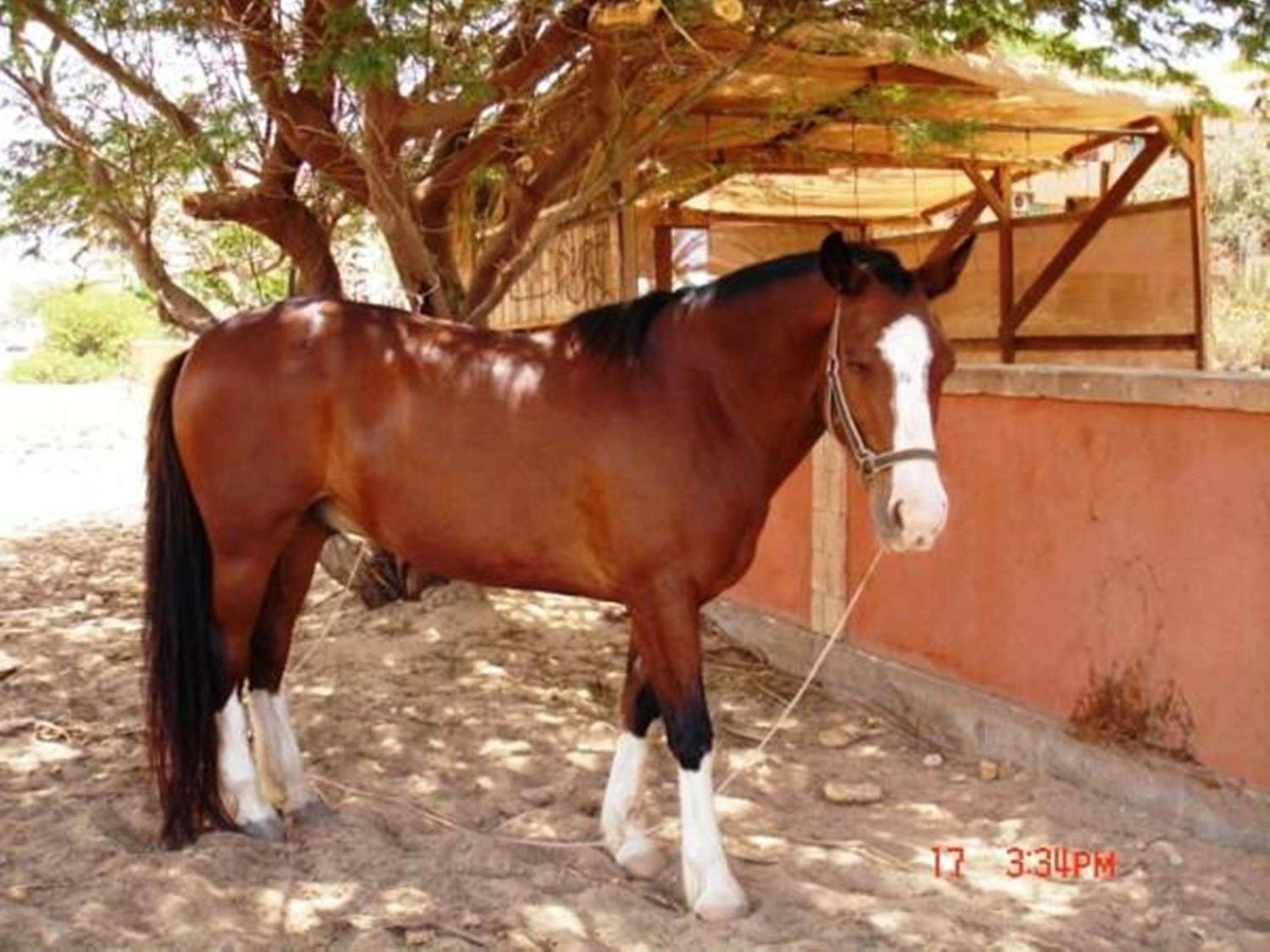 Casa Bahia 7