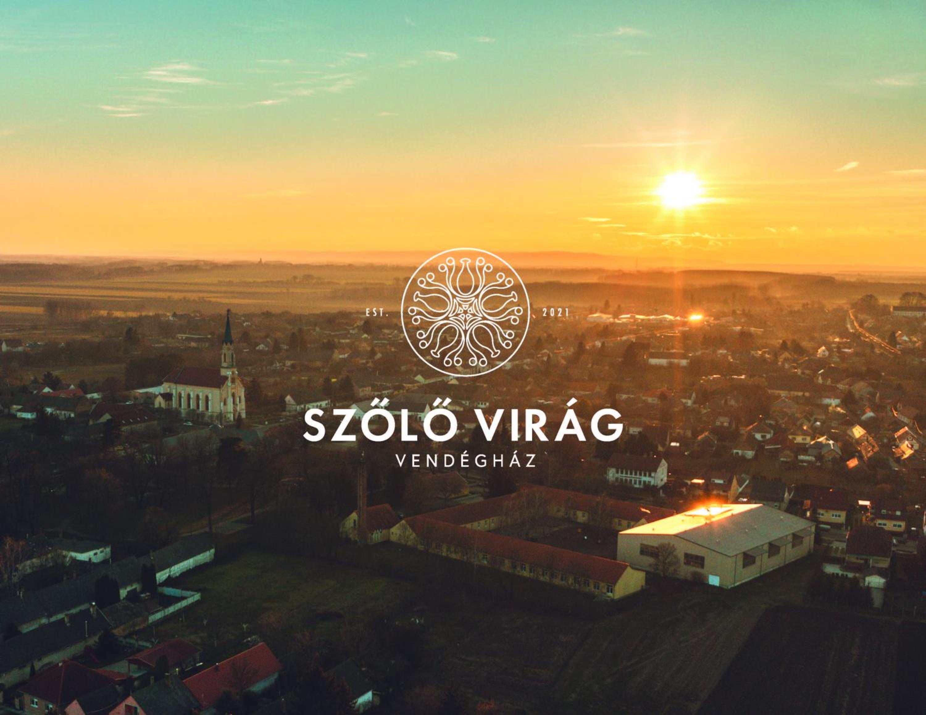 Szőlővirág Vendégház view 5