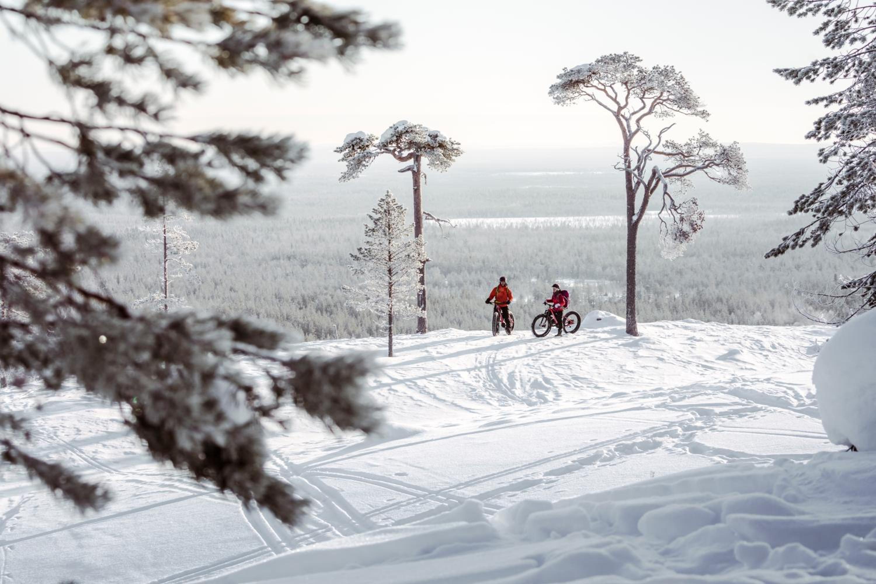 Ski-Inn PyhäSuites