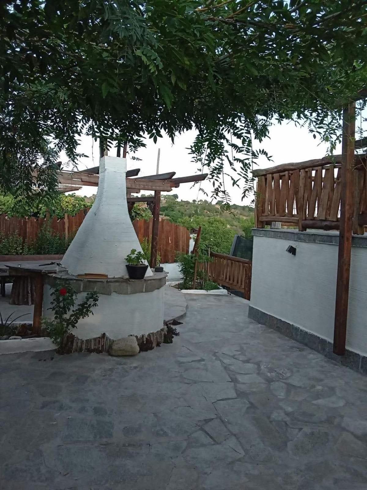 Photo 11