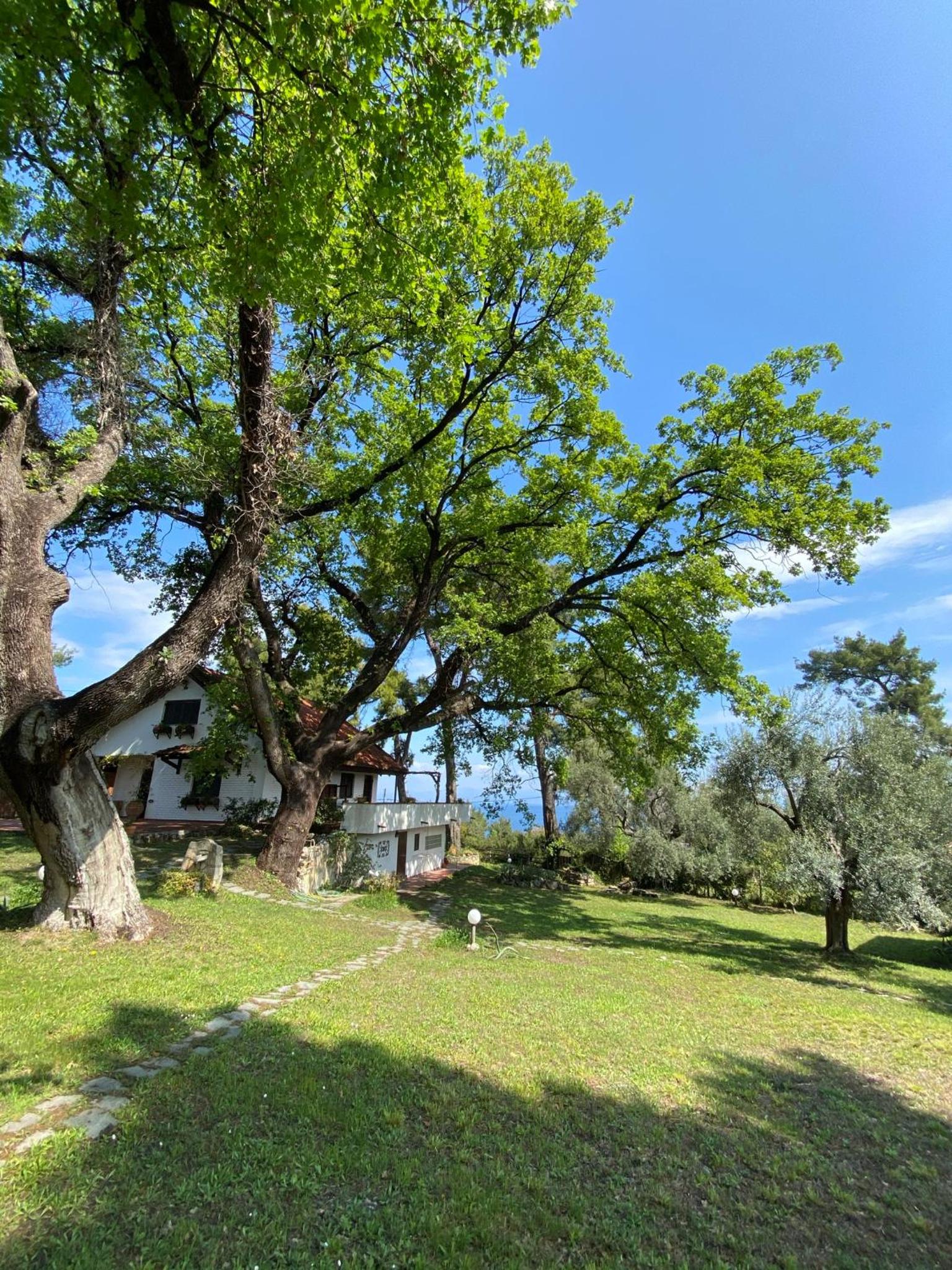 Wild Oaks Cottage view 2