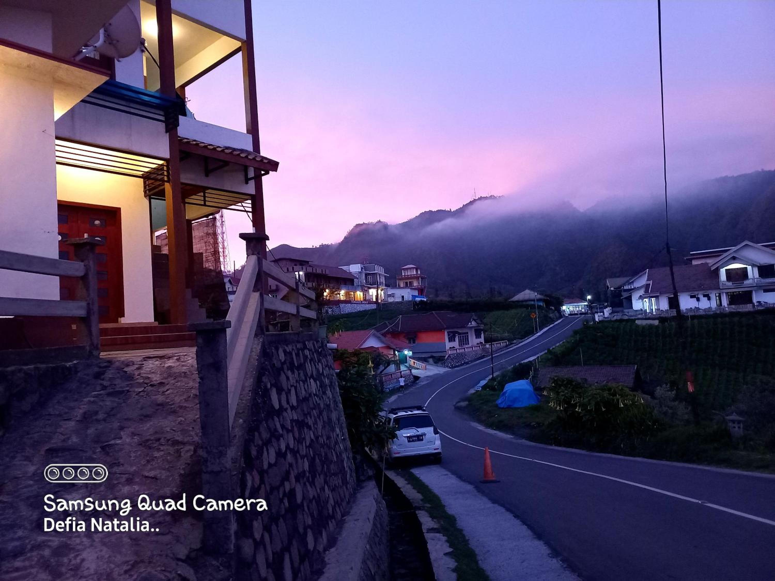 Bromo Deddy Homestay view 4