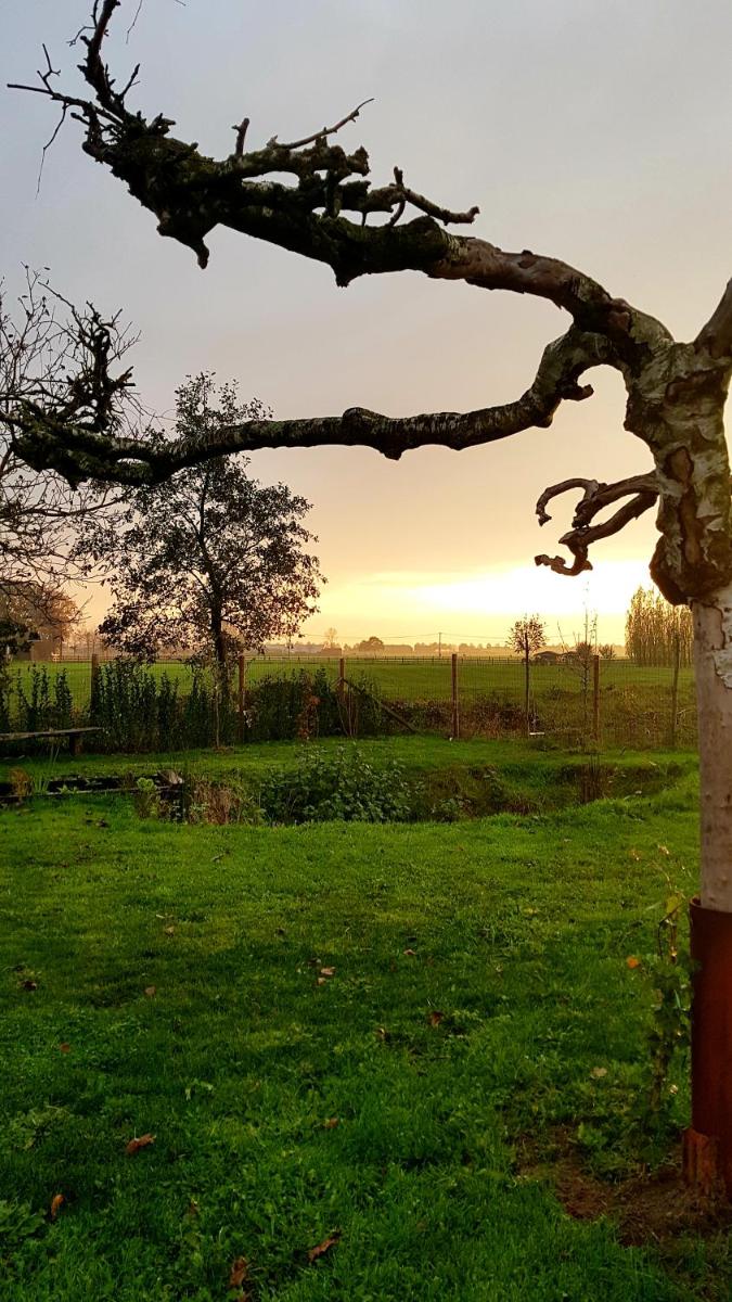 De Wabisabiboerderij