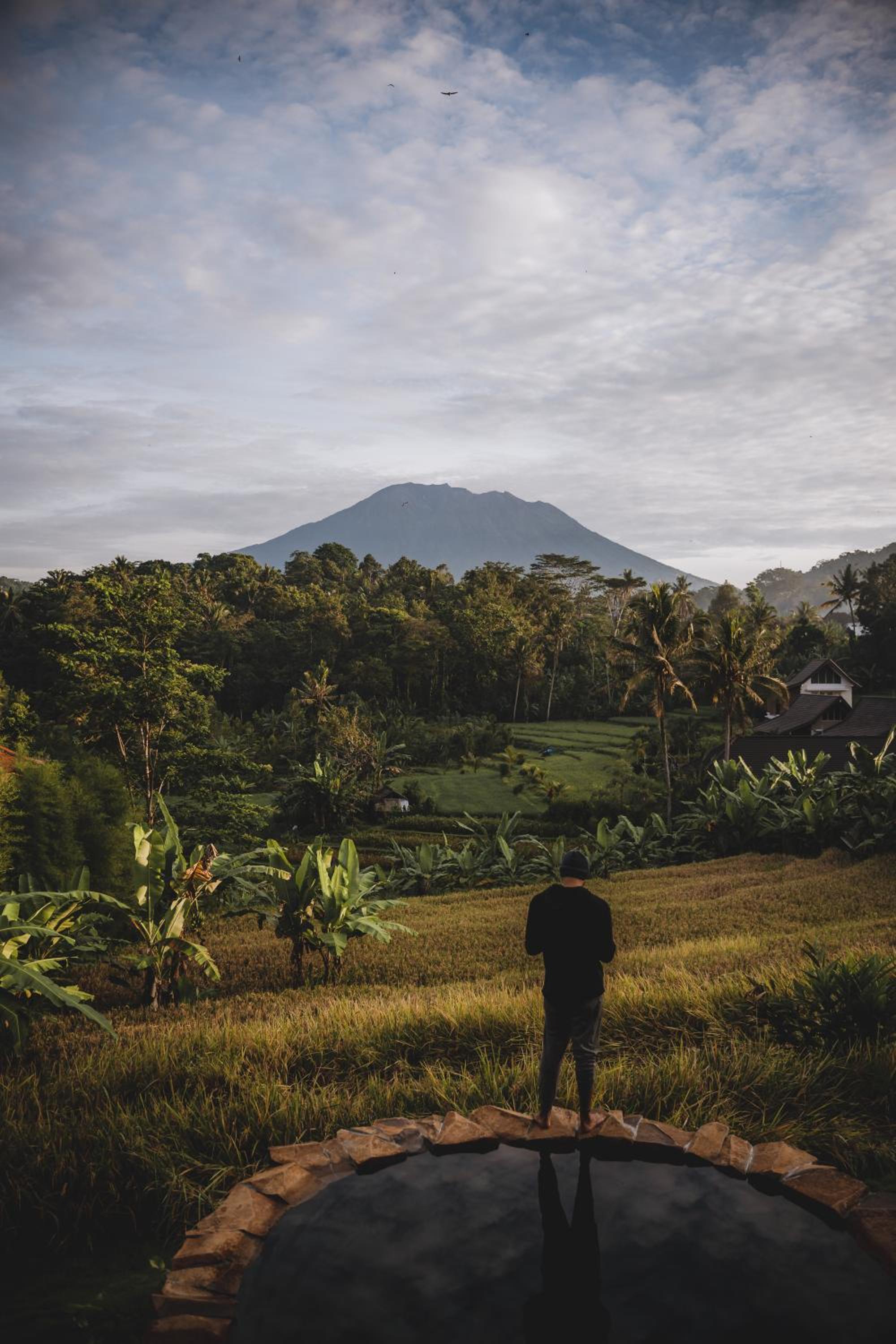 Veluvana Bali view 3