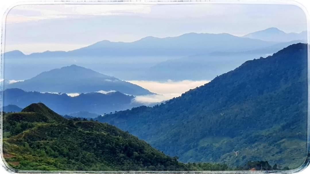 Bayu Senja Lodge photo 7