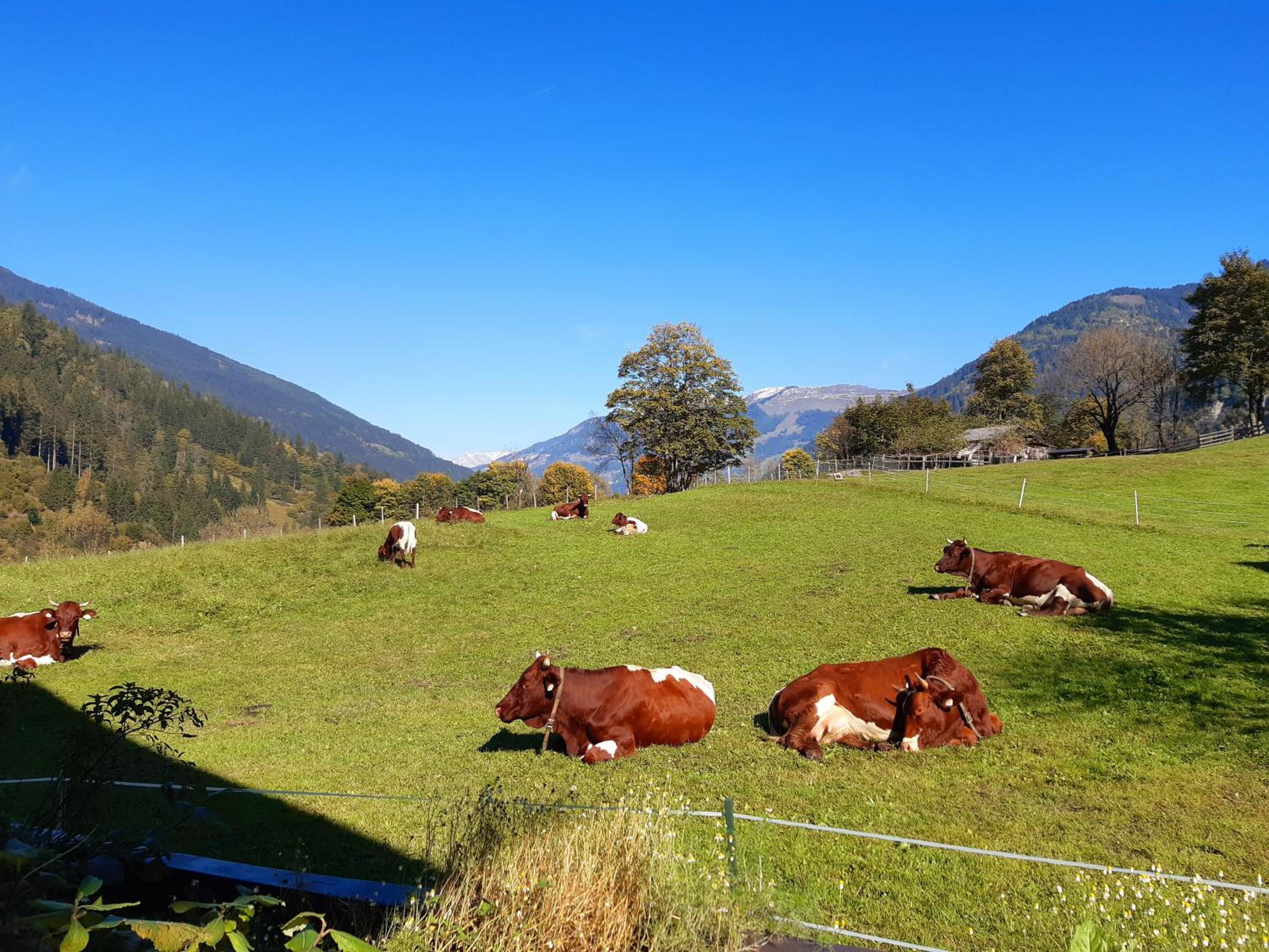 Hoislbauerngut