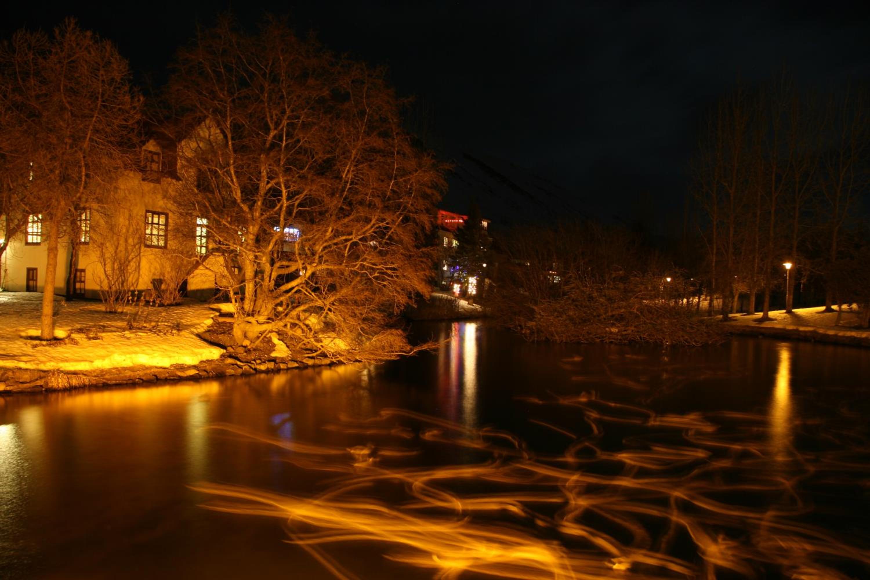 Árból Guesthouse