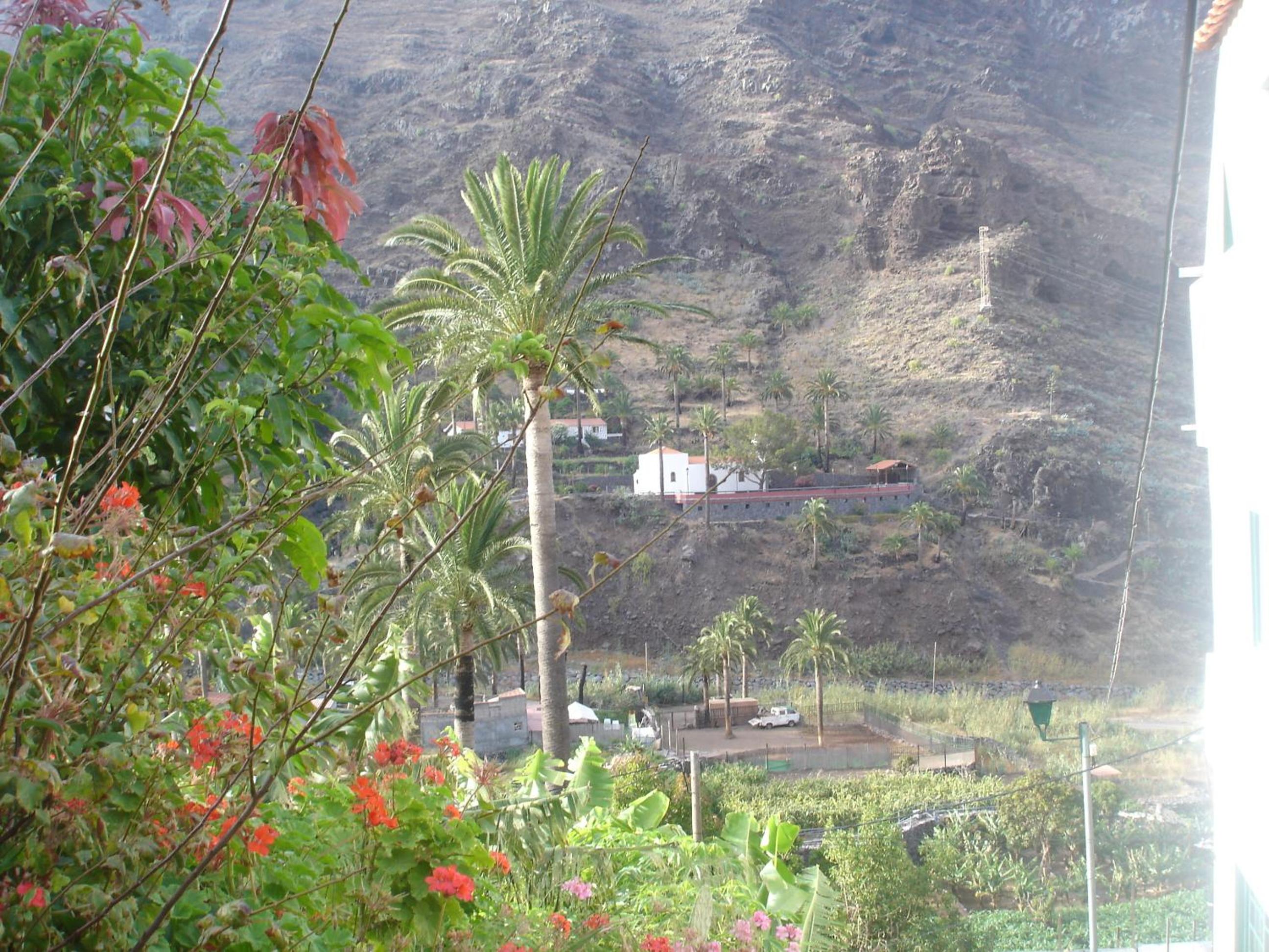 Photo 45