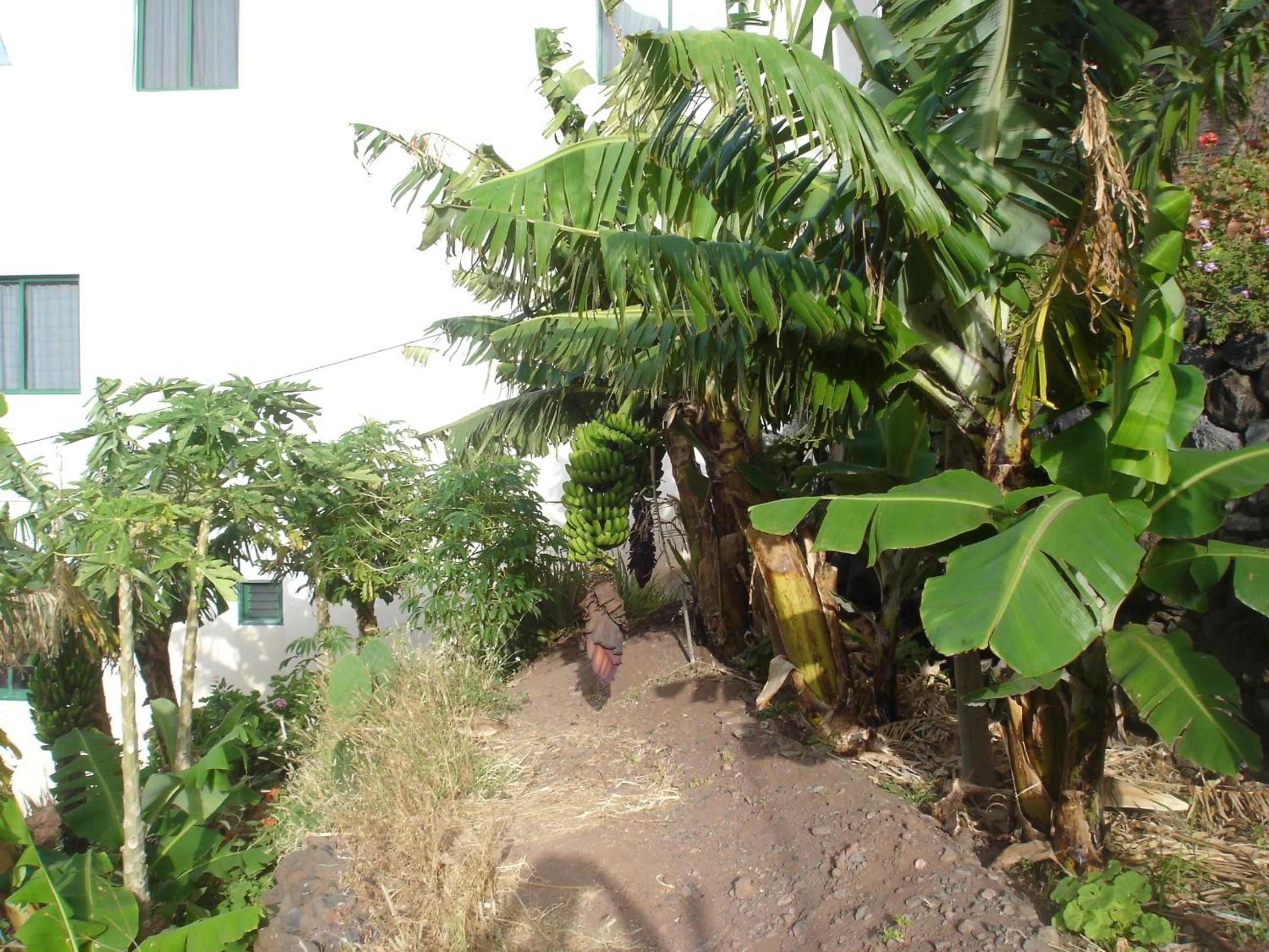 Photo 39