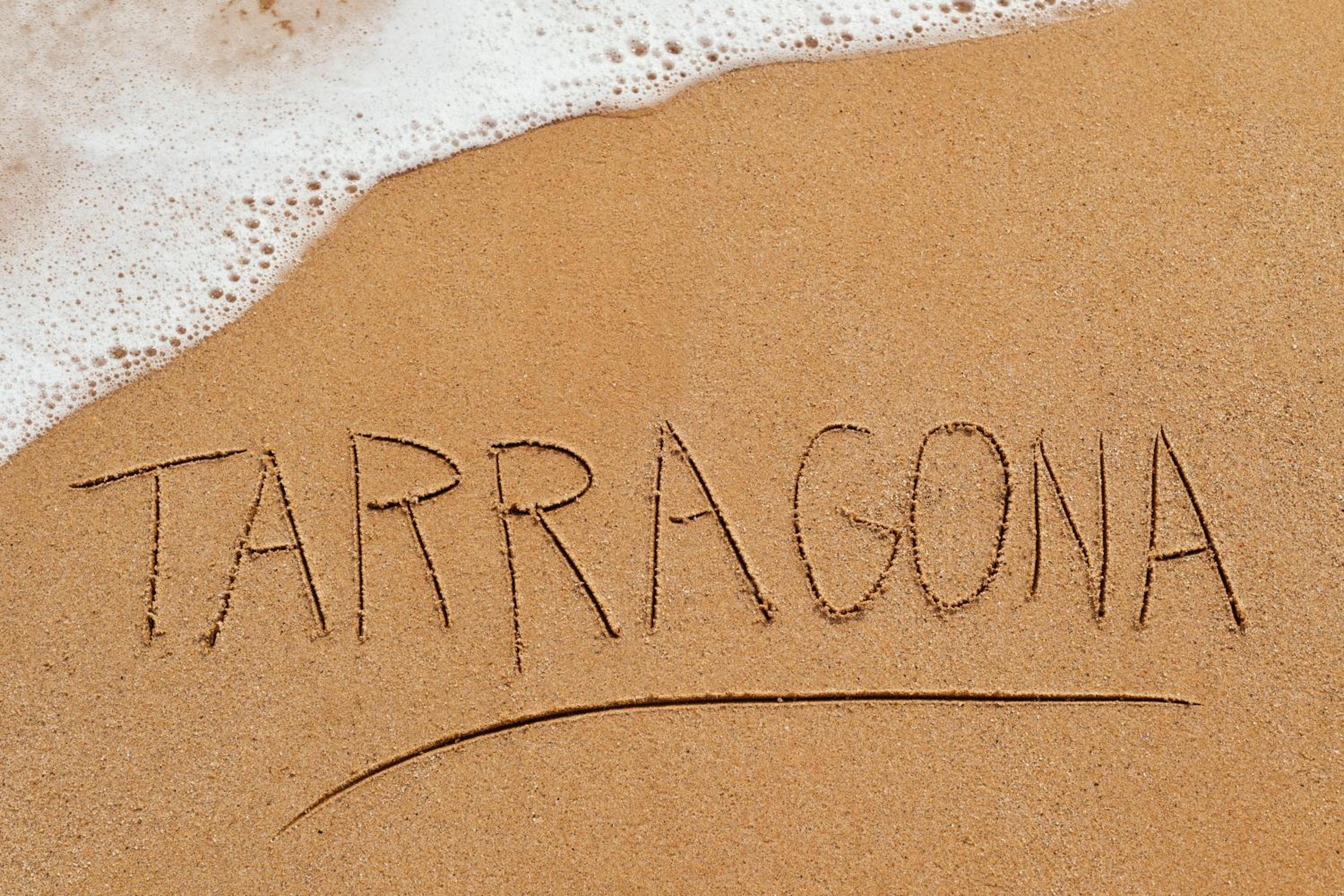 weroomies - August