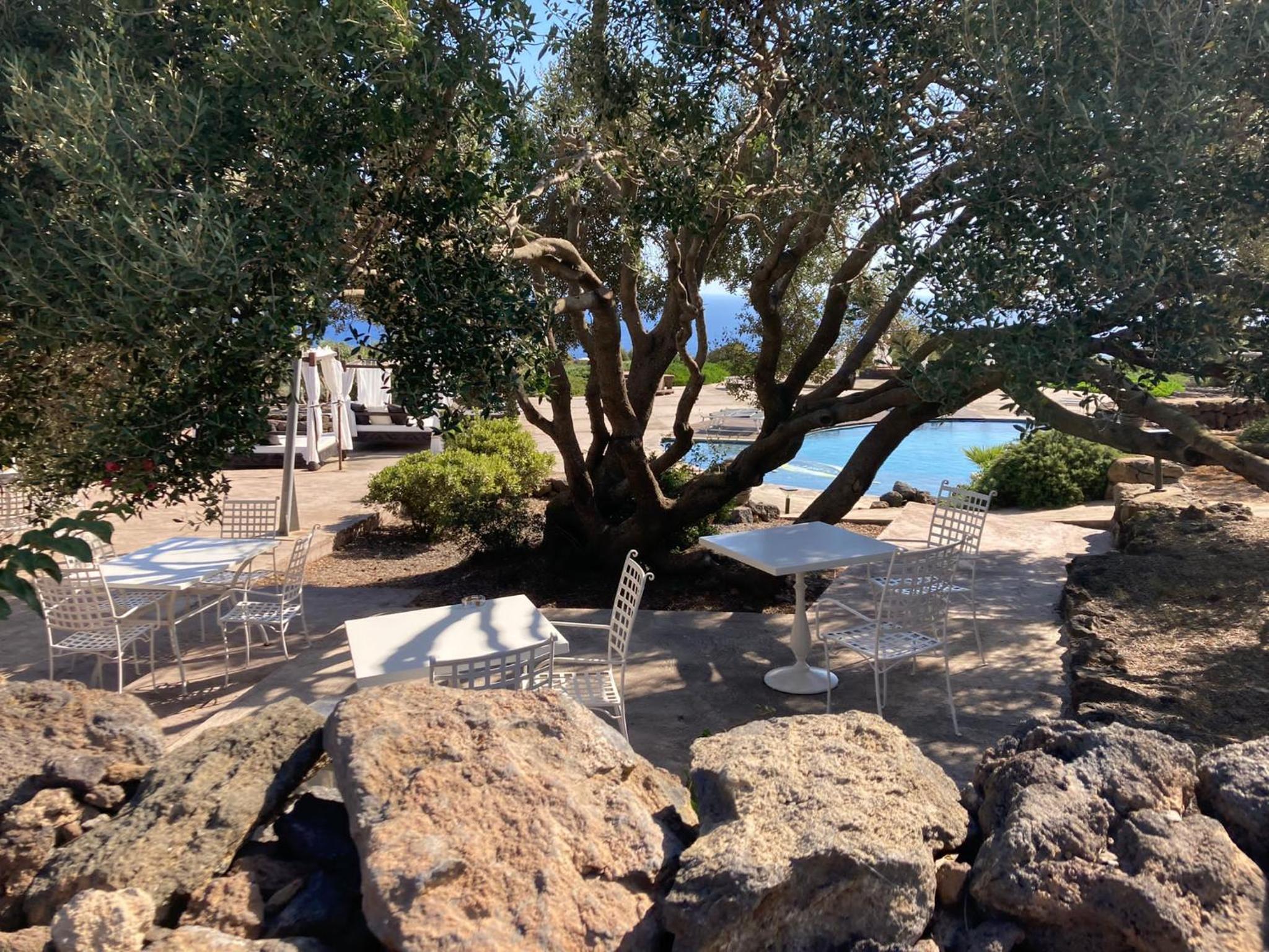 Dammusi Al-Qubba Wellness & Resort
