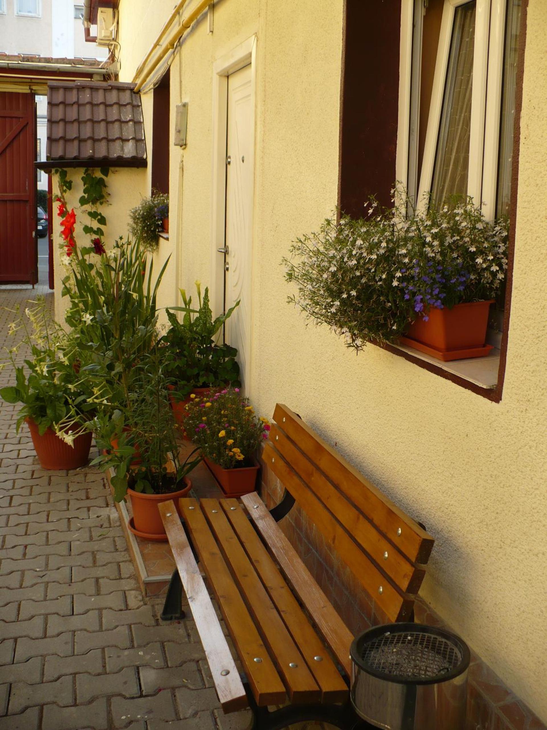 Photo 50
