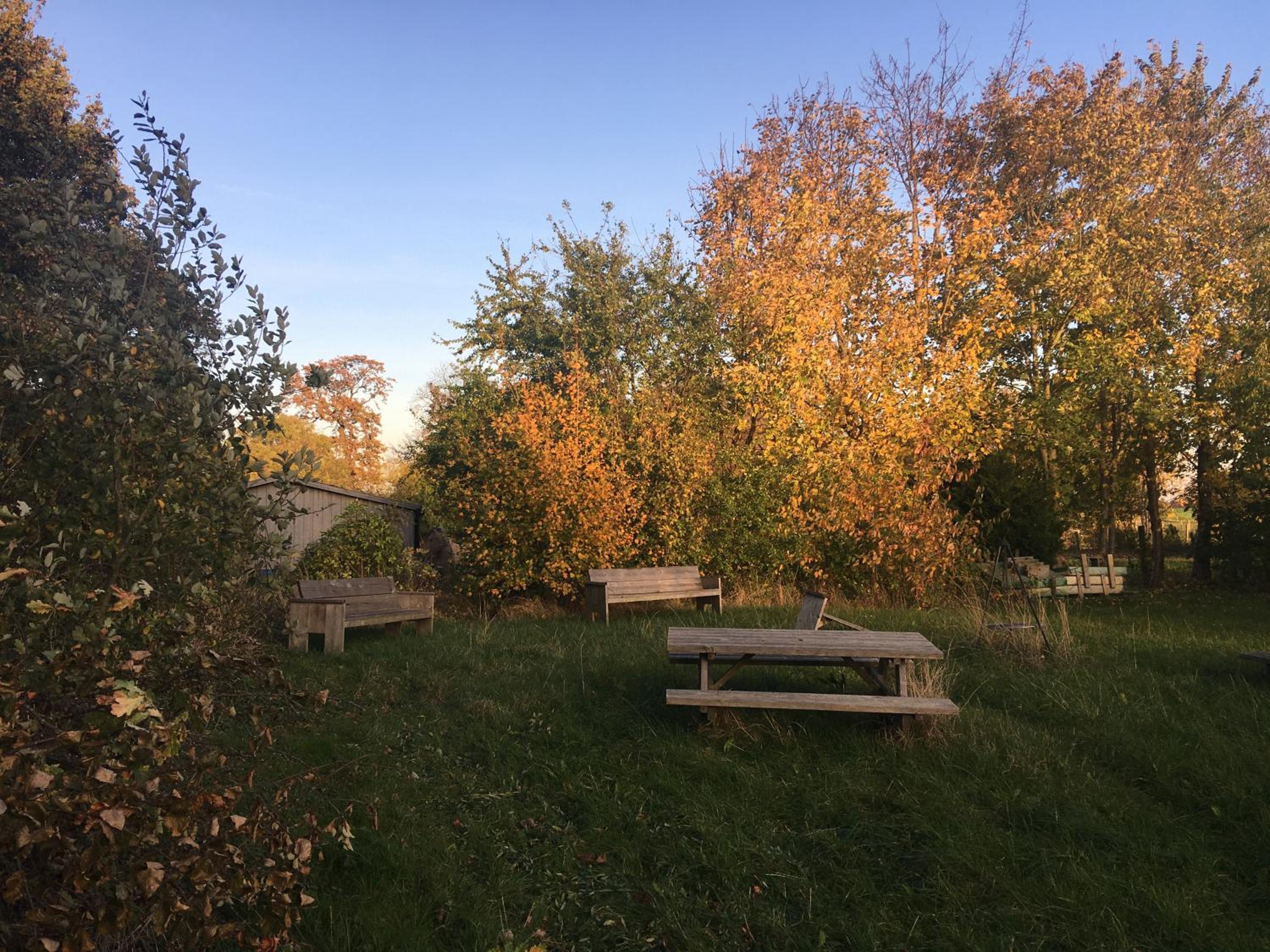 Photo 26