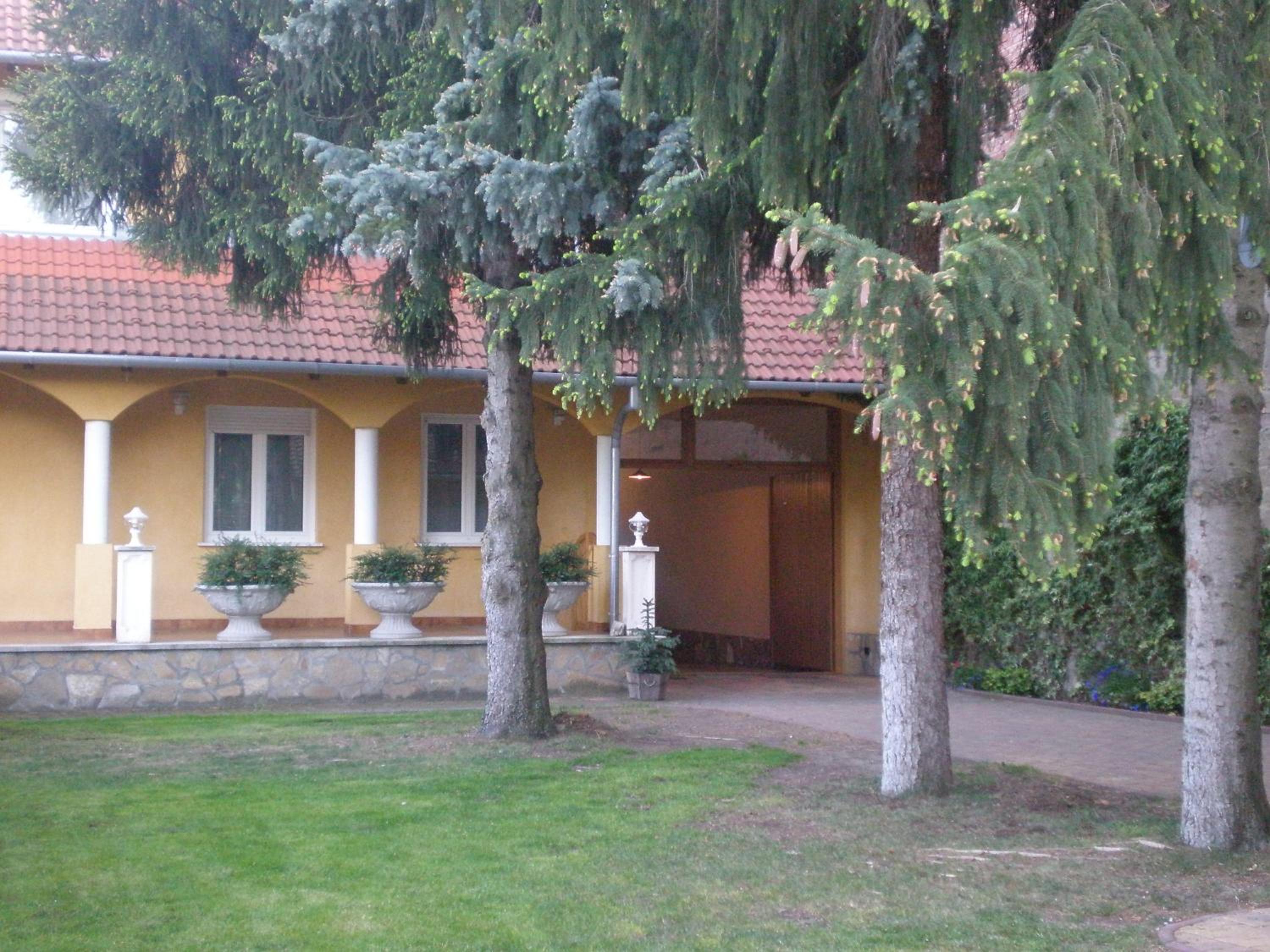 Galéria29 Home view 2