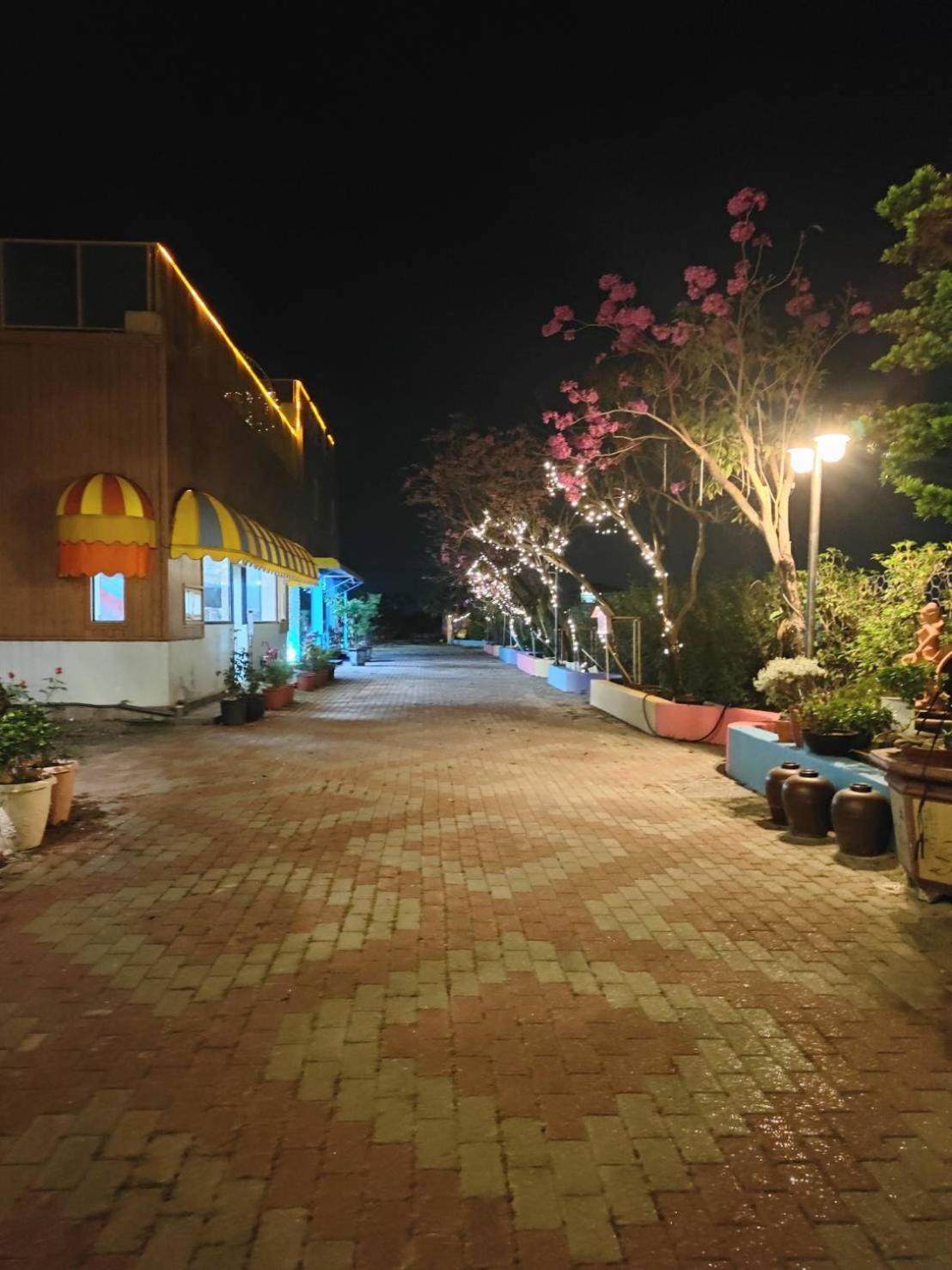 Photo 44