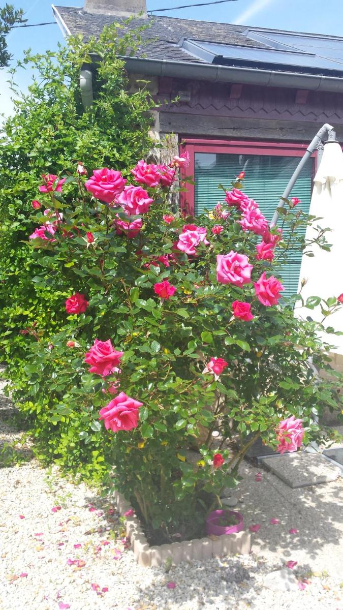 Photo 57