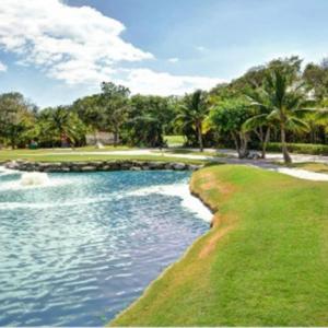Luxury Villa in Playacar view 5