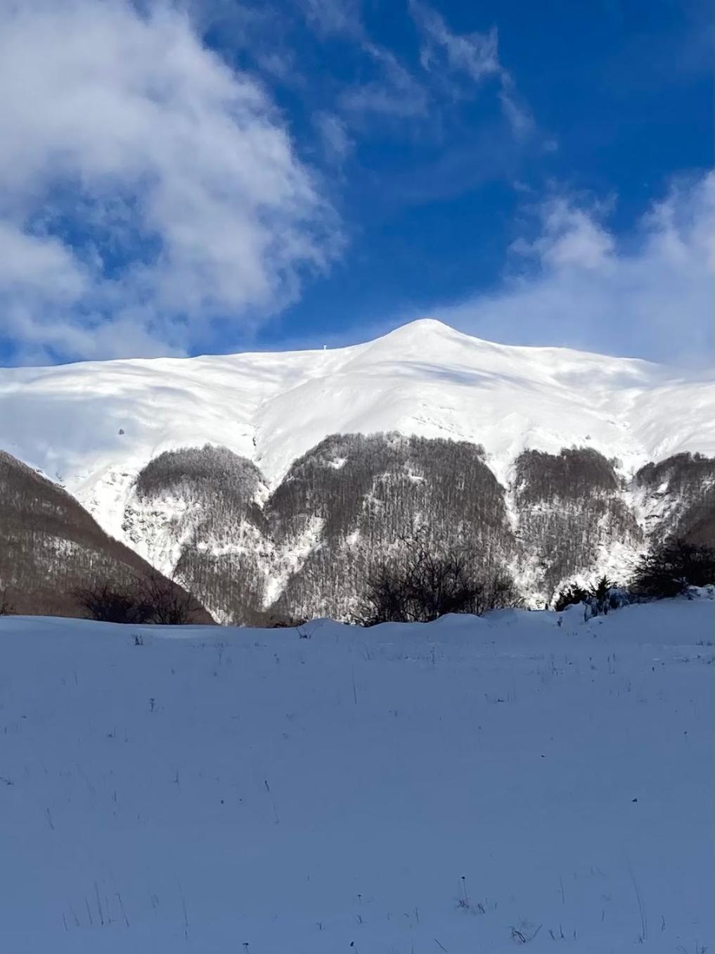 Photo 105