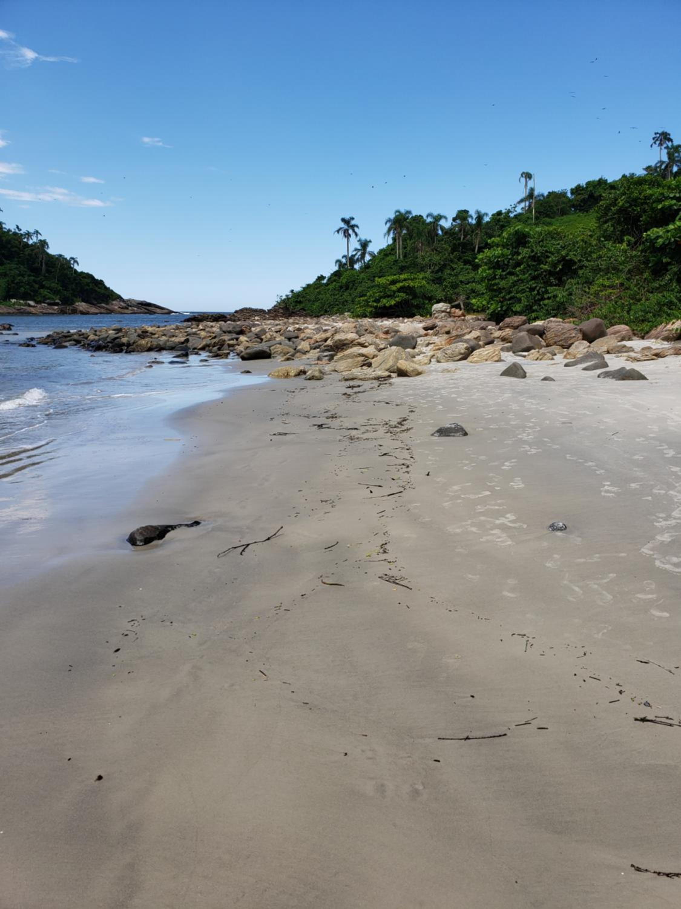 Ilha das Peças Lagamar